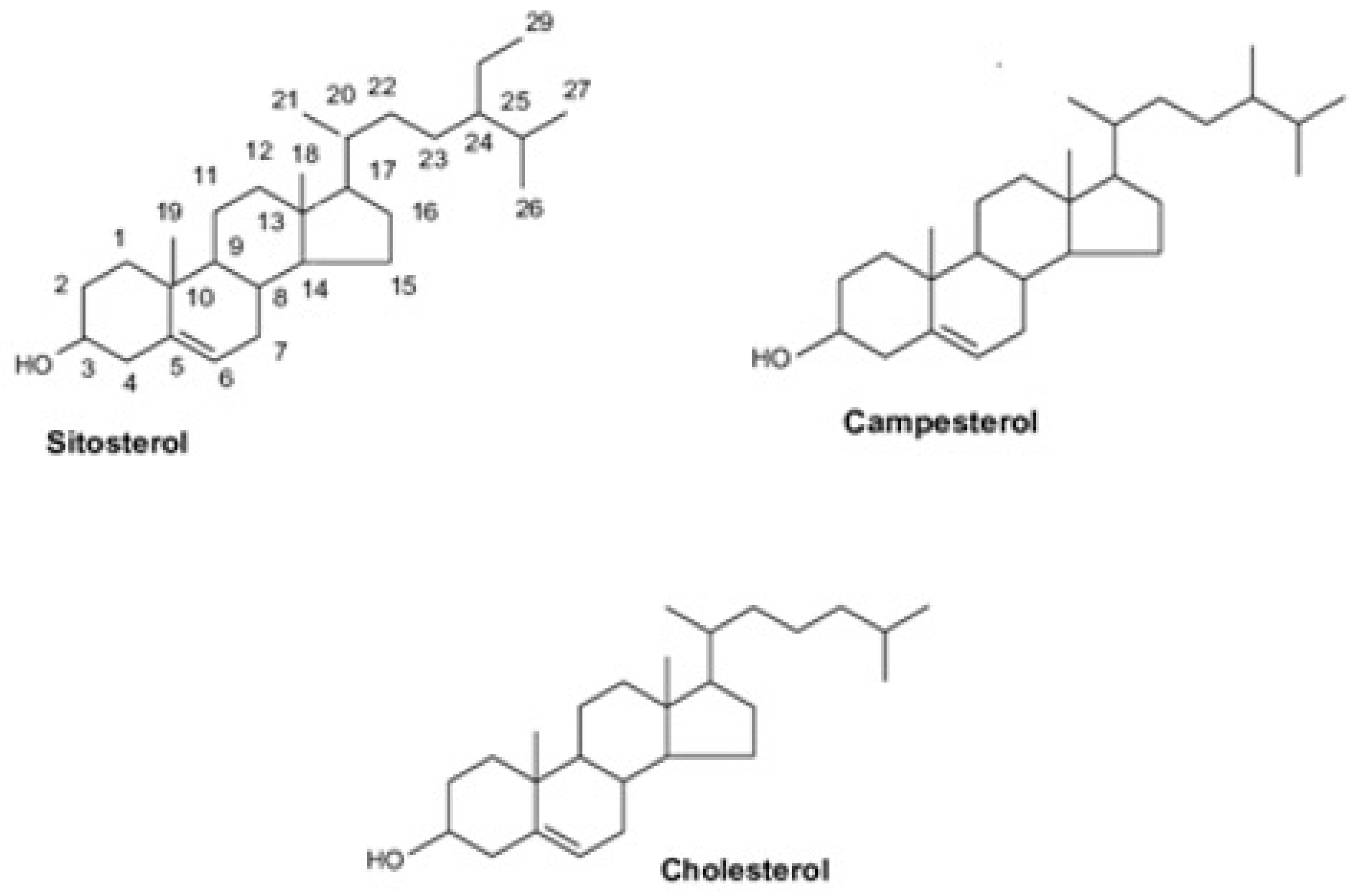 Metabolites 13 00145 g001