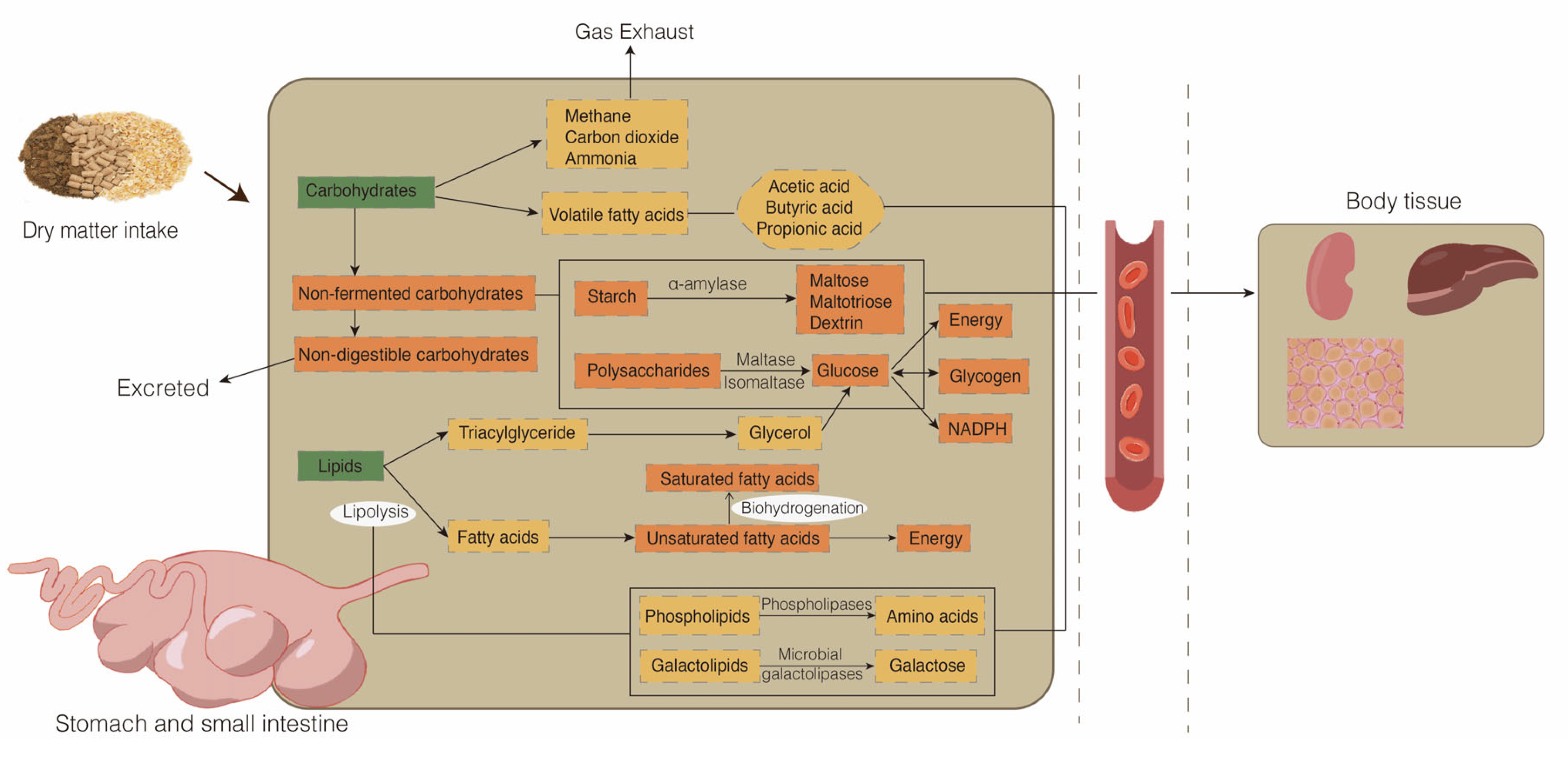 Metabolites, Free Full-Text