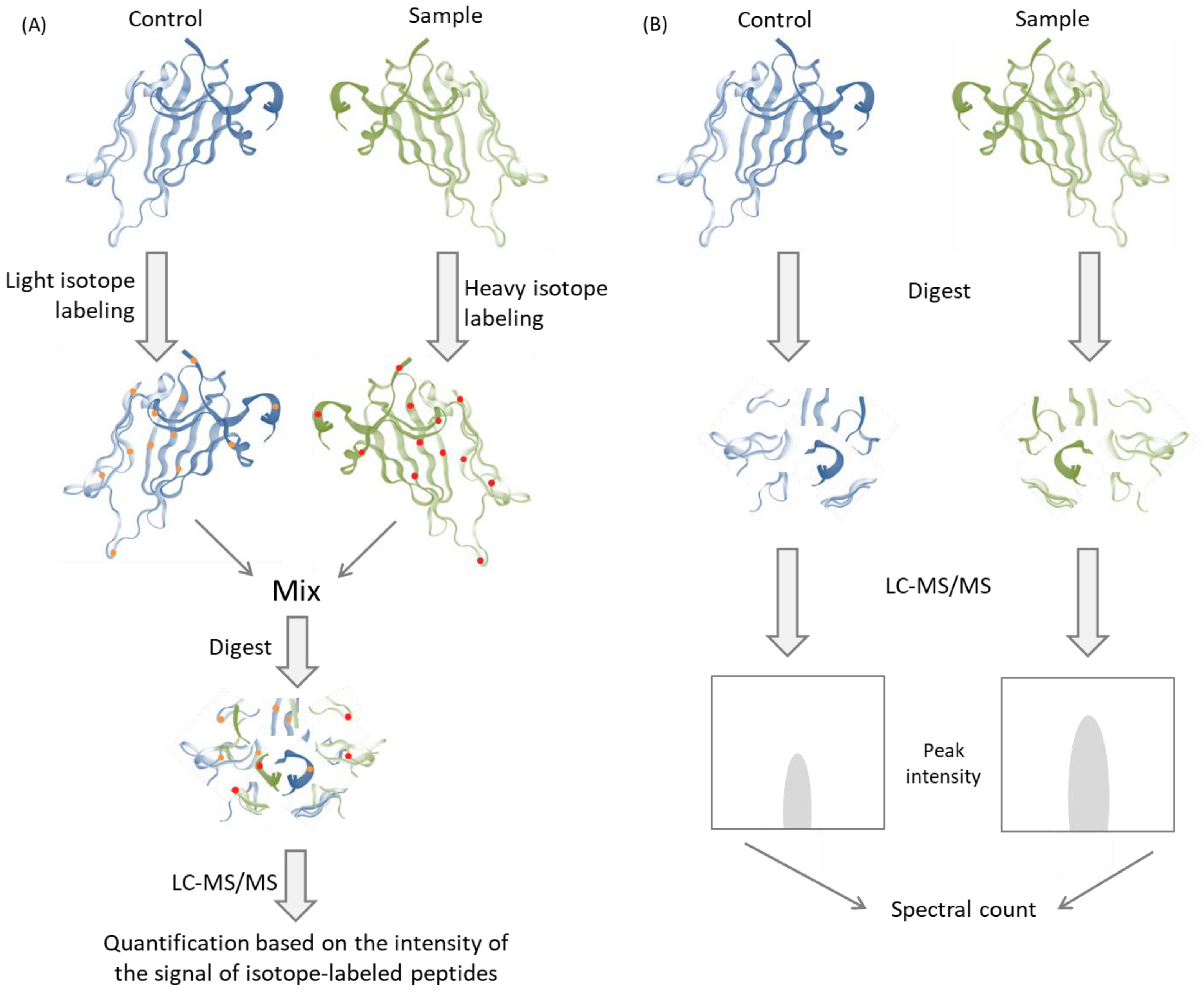 Metabolites 13 00155 g004 Metabolites 13 00155 g004