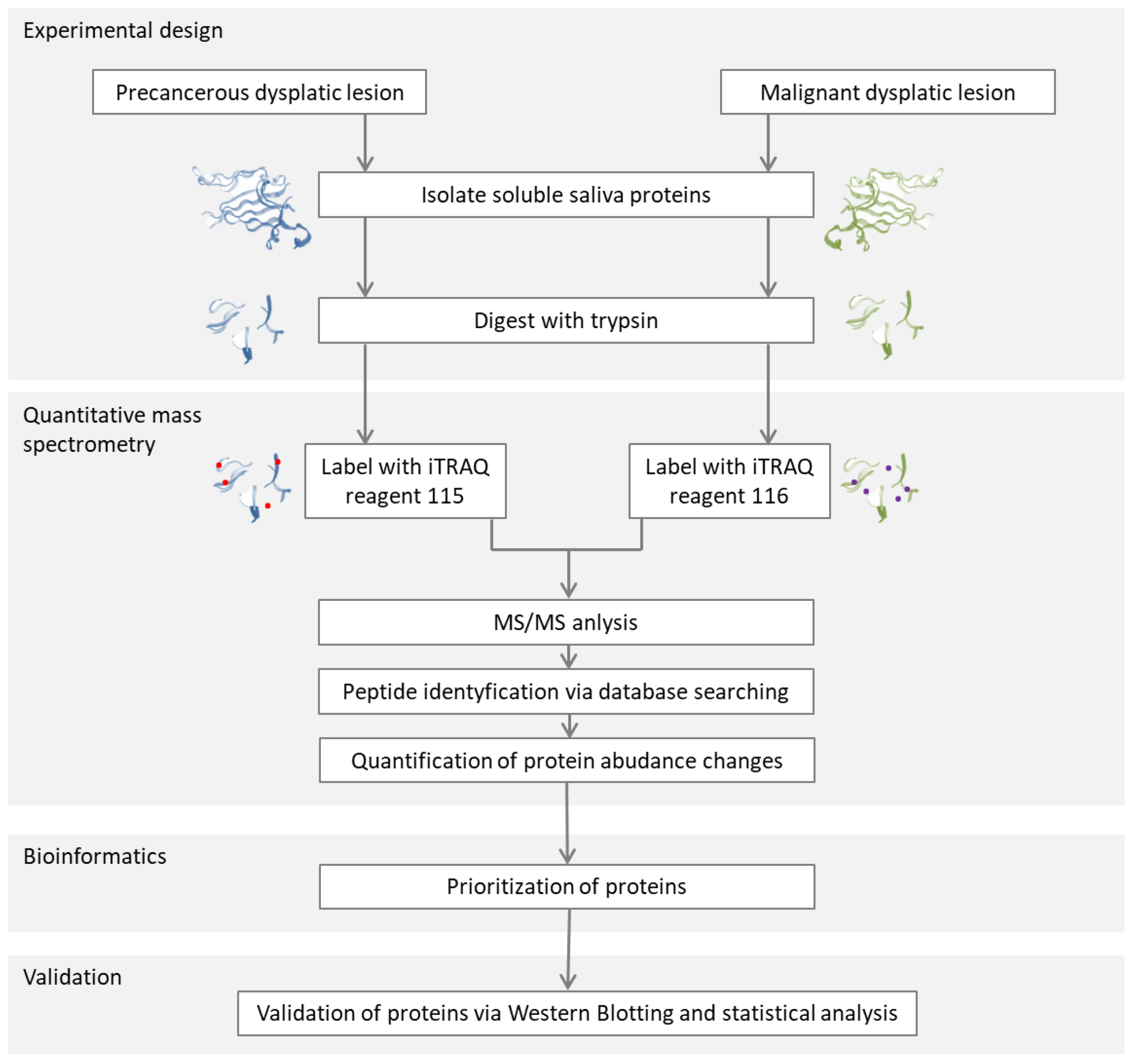 Metabolites 13 00155 g007 Metabolites 13 00155 g007