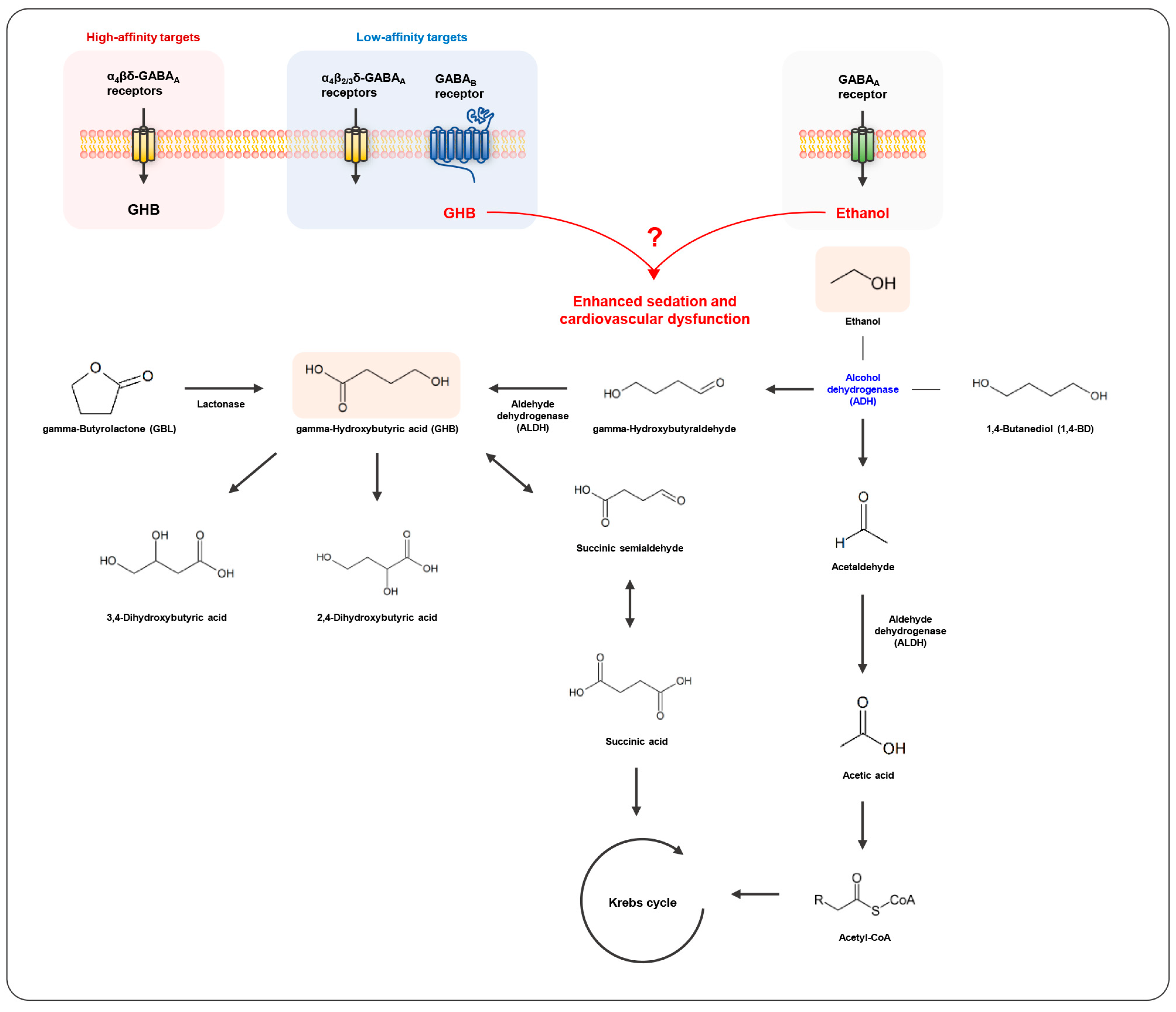Metabolites 13 00180 g002