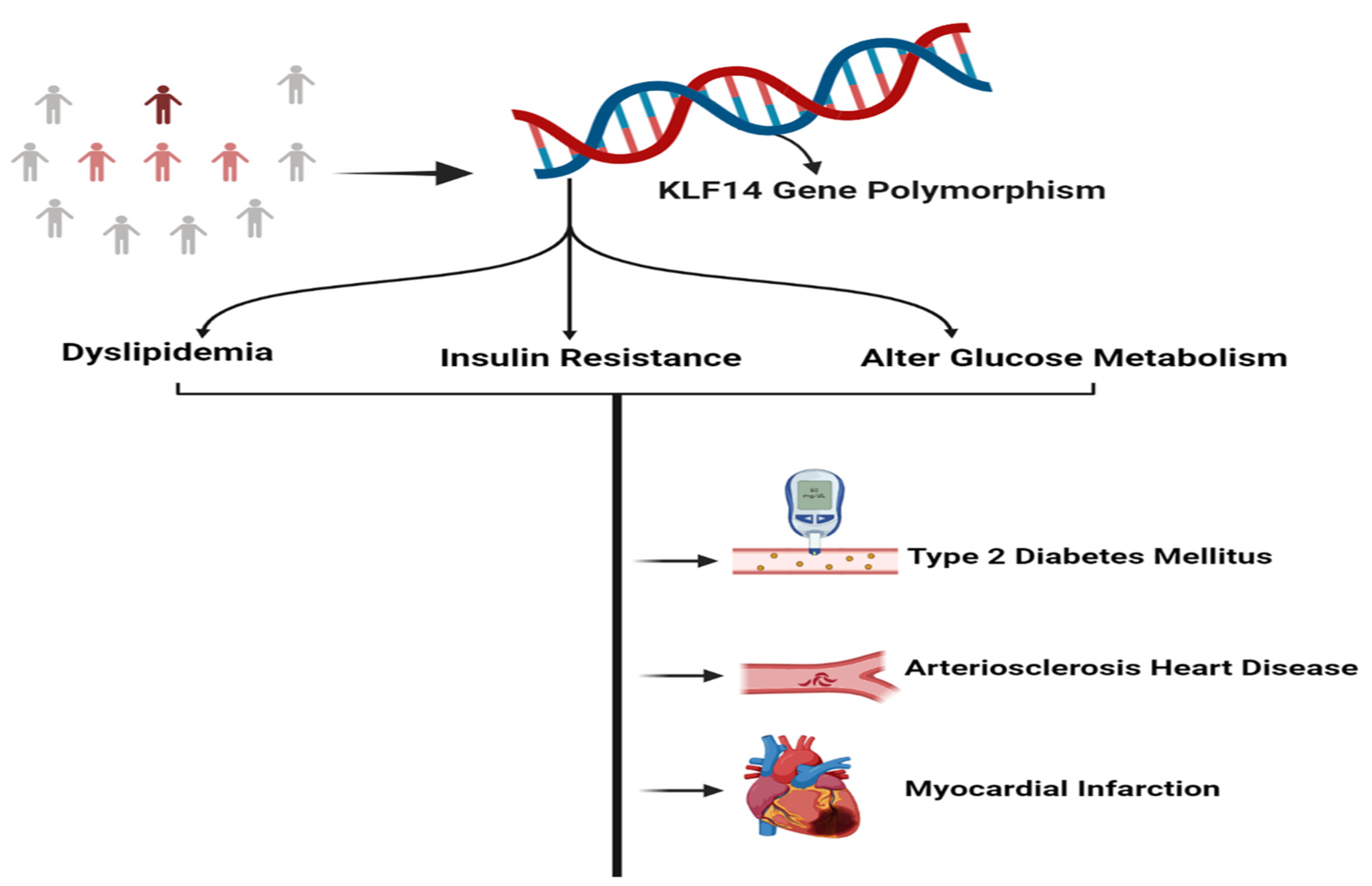 Metabolites 13 00199 g003