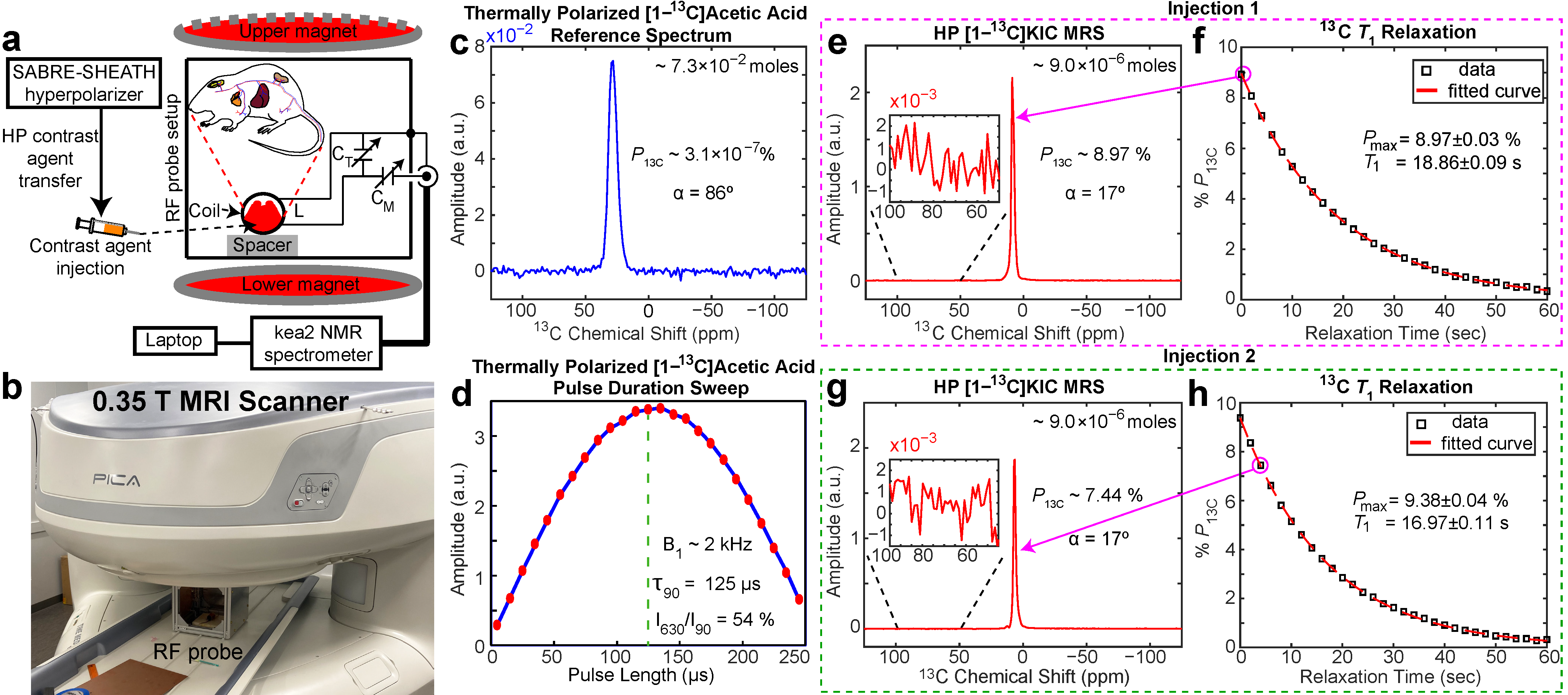 Metabolites 13 00200 g005
