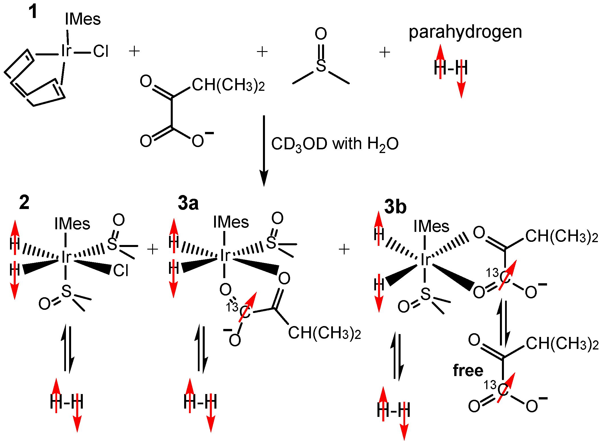 Metabolites 13 00200 sch001