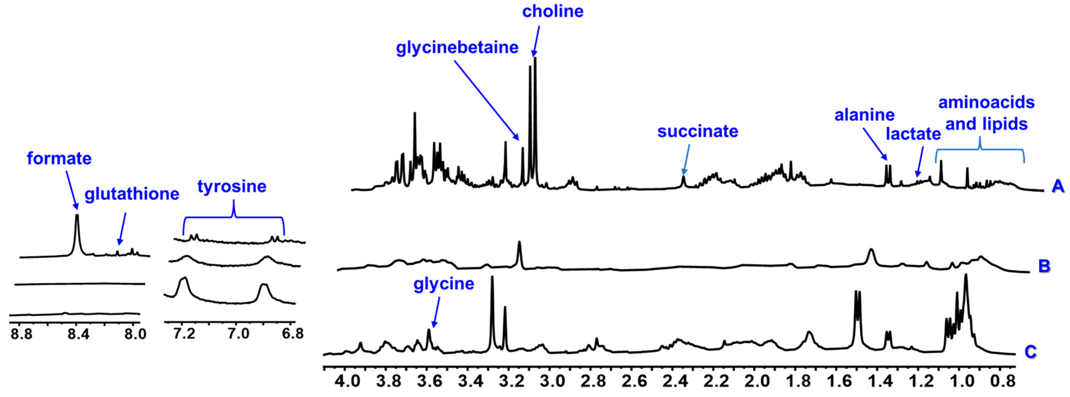 Metabolites 13 00202 g002 Metabolites 13 00202 g002