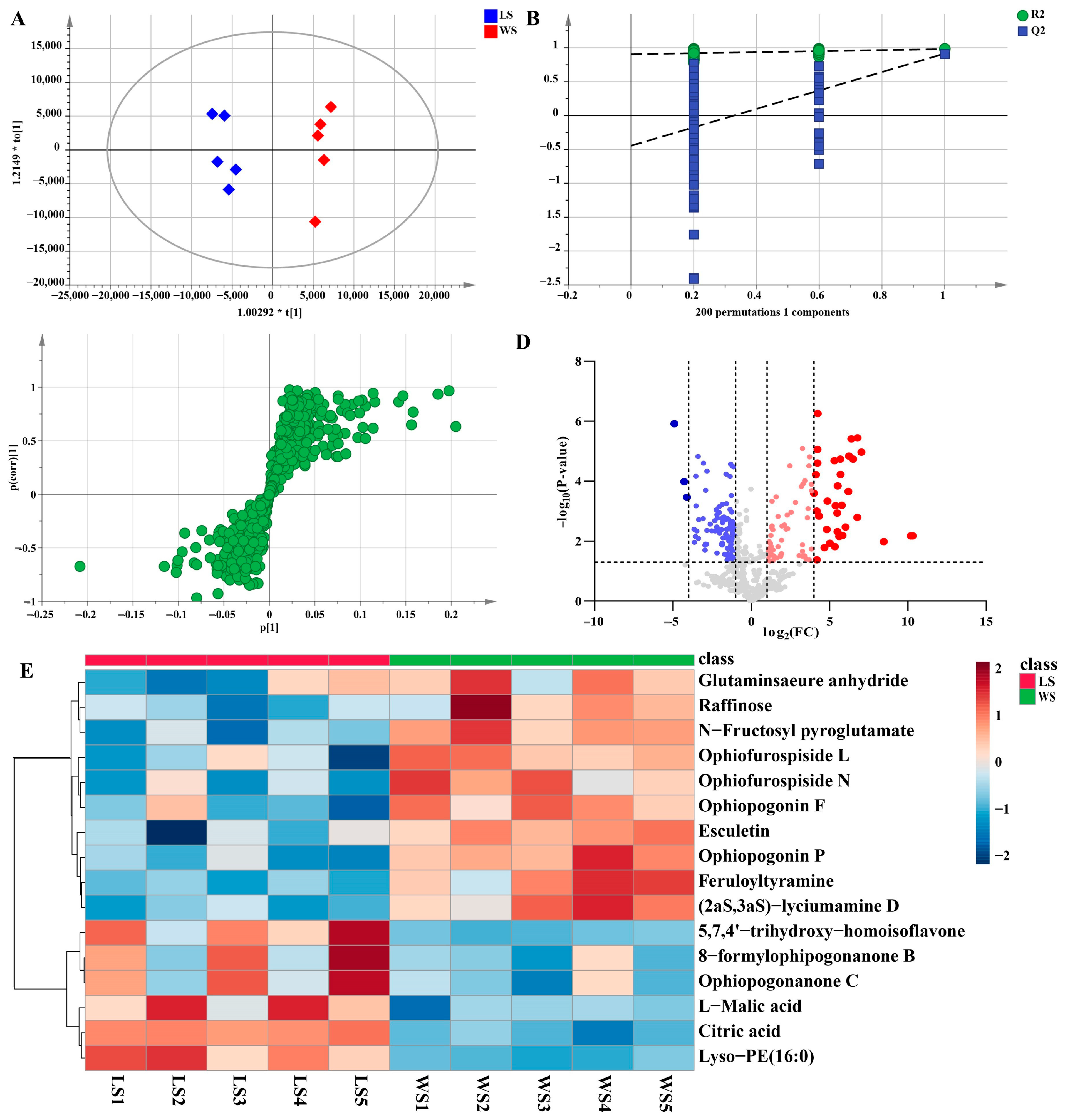 Metabolites 13 00204 g008 Metabolites 13 00204 g008