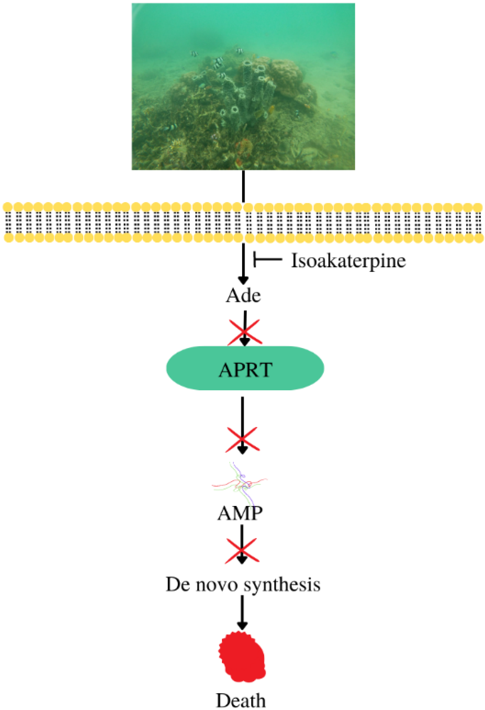 Metabolites 13 00217 g009