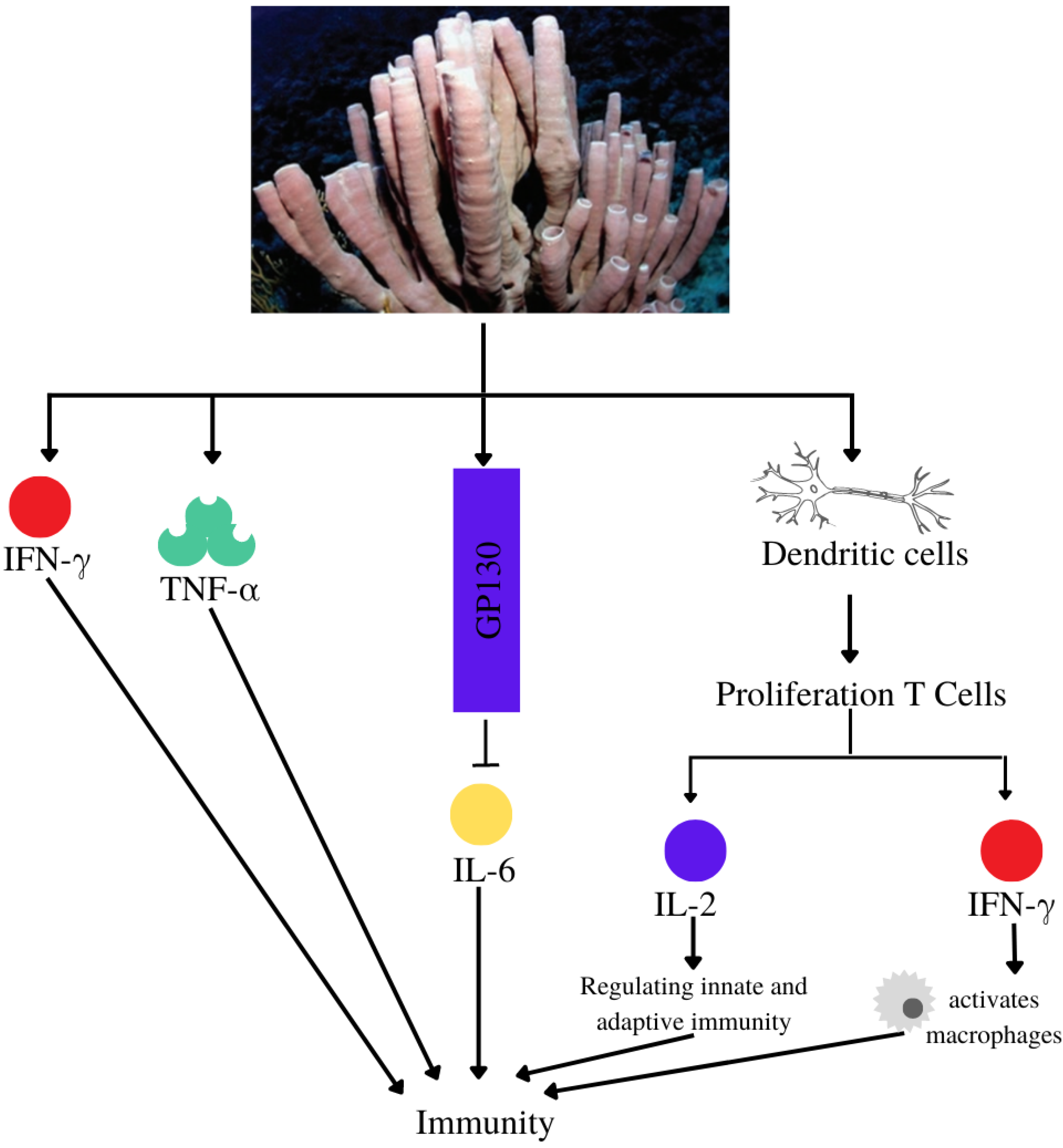 Metabolites 13 00217 g010