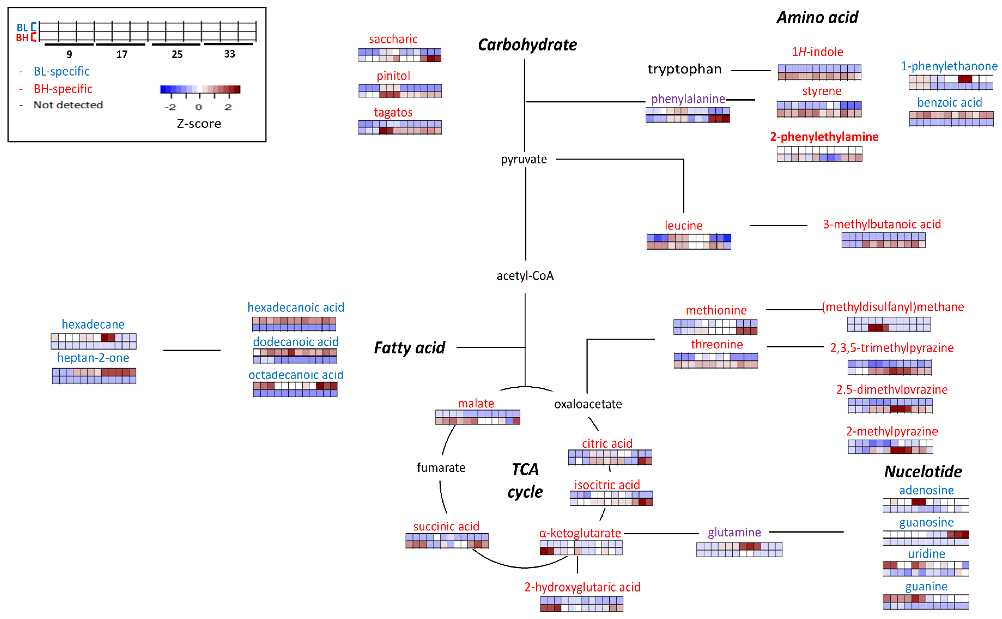 Metabolites 13 00219 g004 Metabolites 13 00219 g004