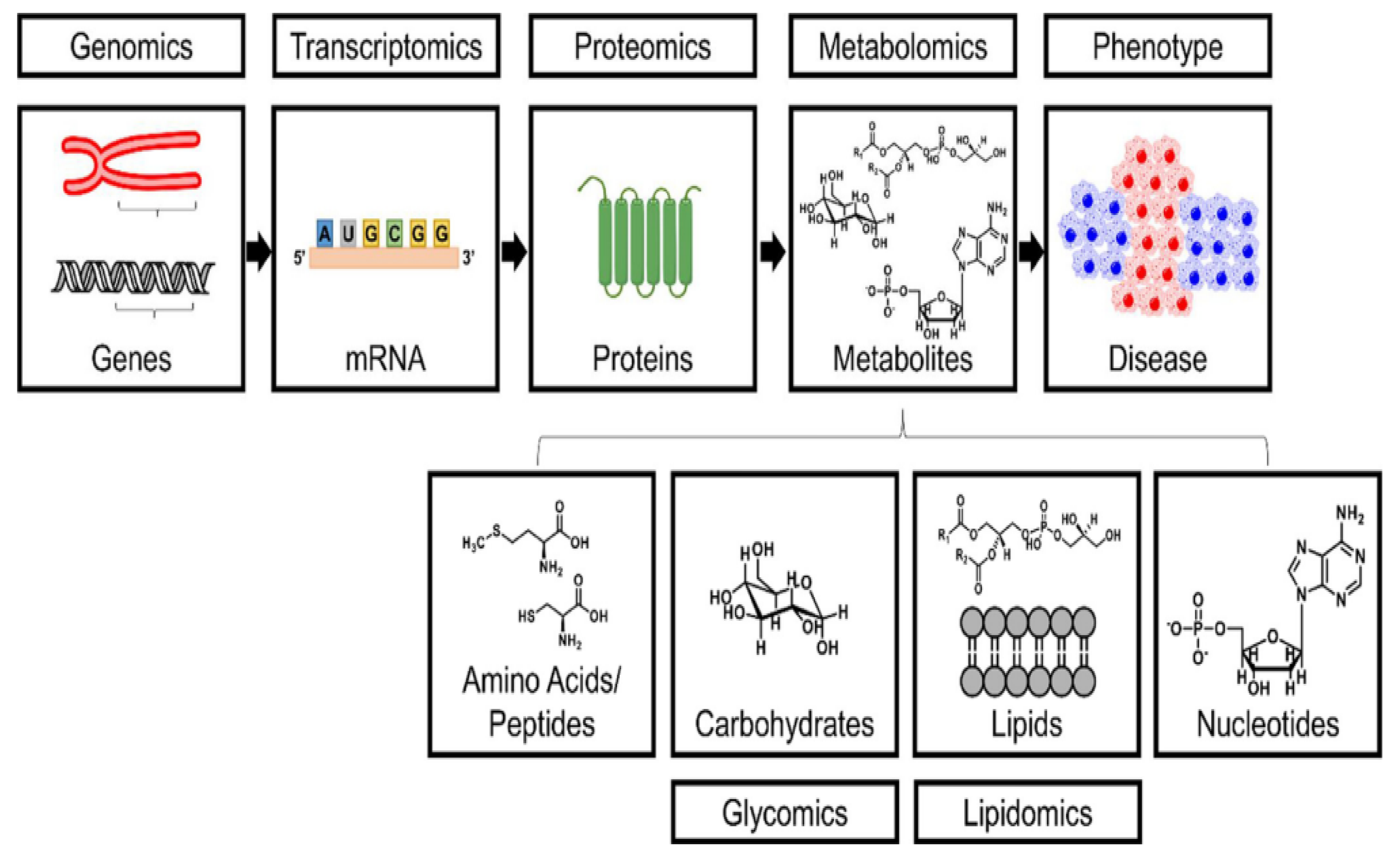 Metabolites 13 00246 g001 Metabolites 13 00246 g001