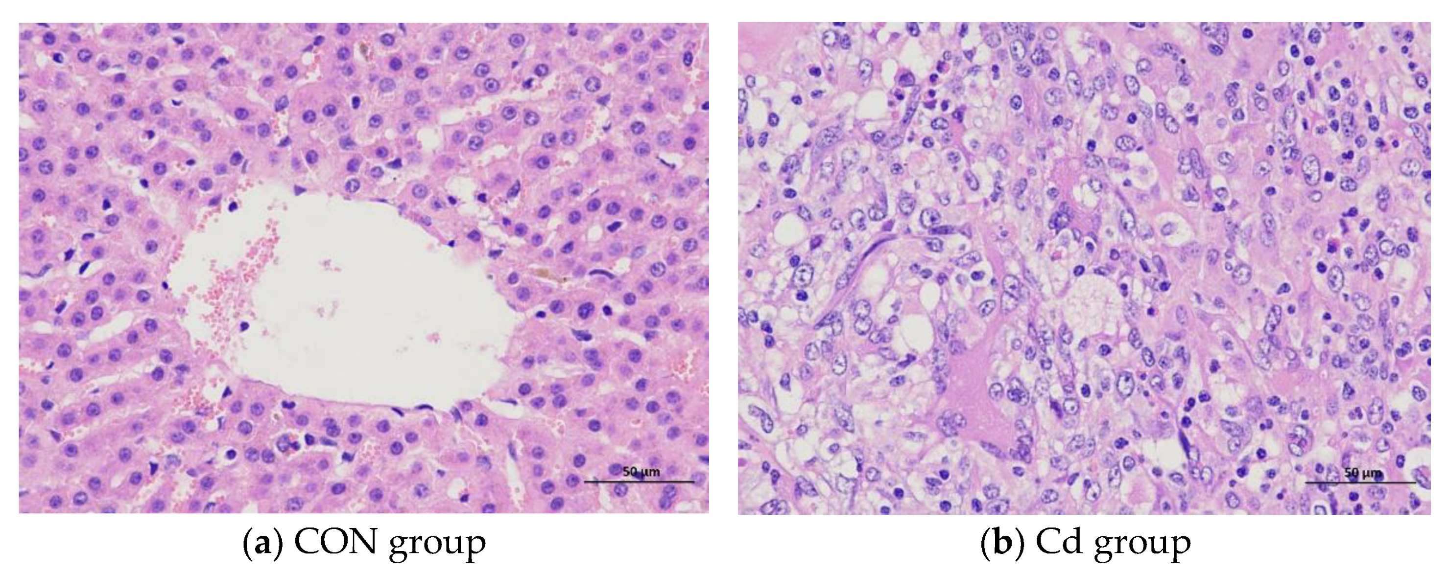 Metabolites 13 00268 g001