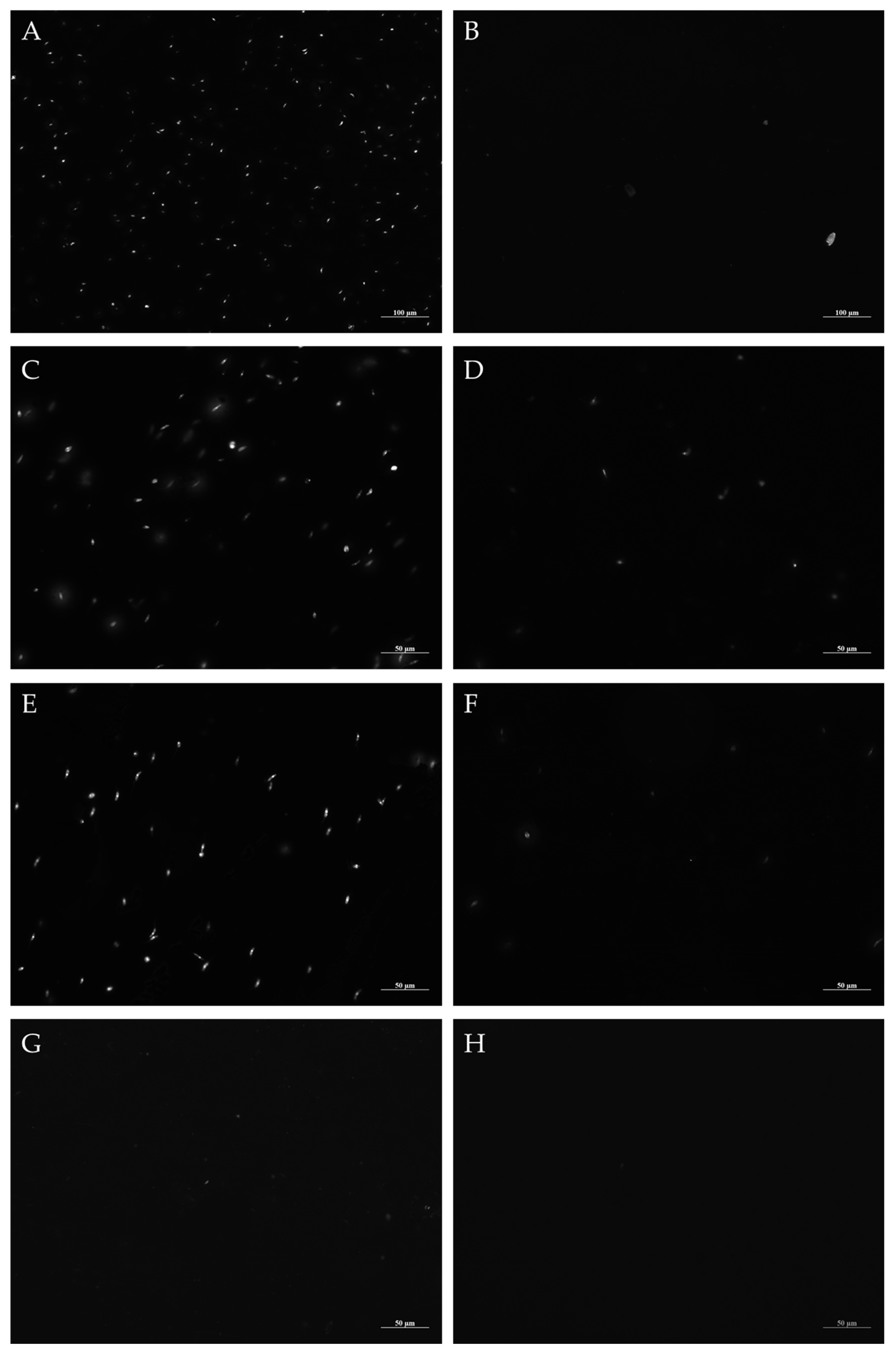 Metabolites 13 00285 g003 Metabolites 13 00285 g003