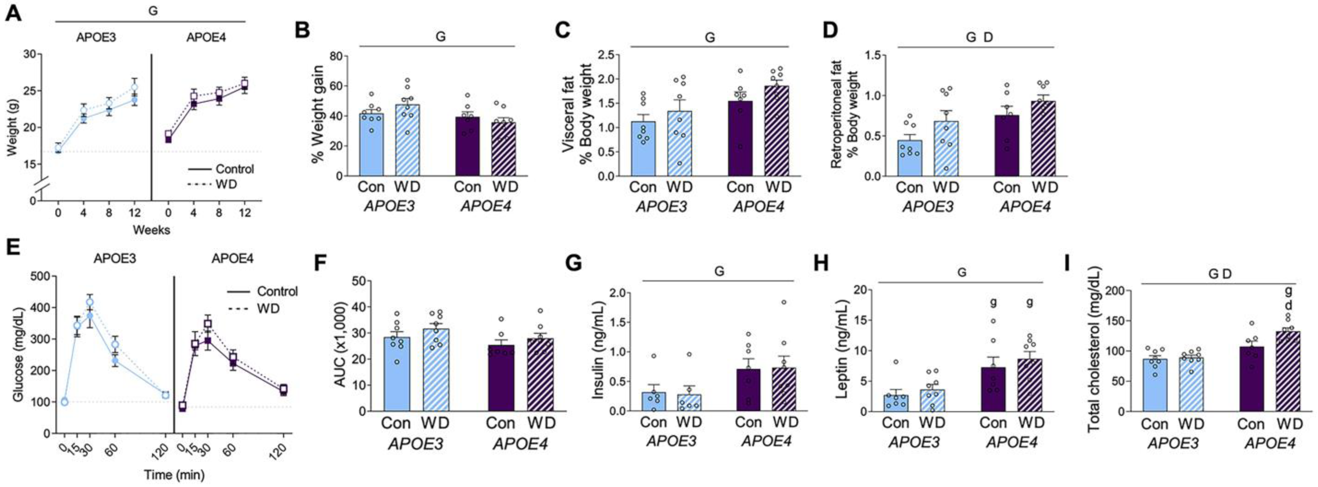 Metabolites 13 00287 g001 Metabolites 13 00287 g001