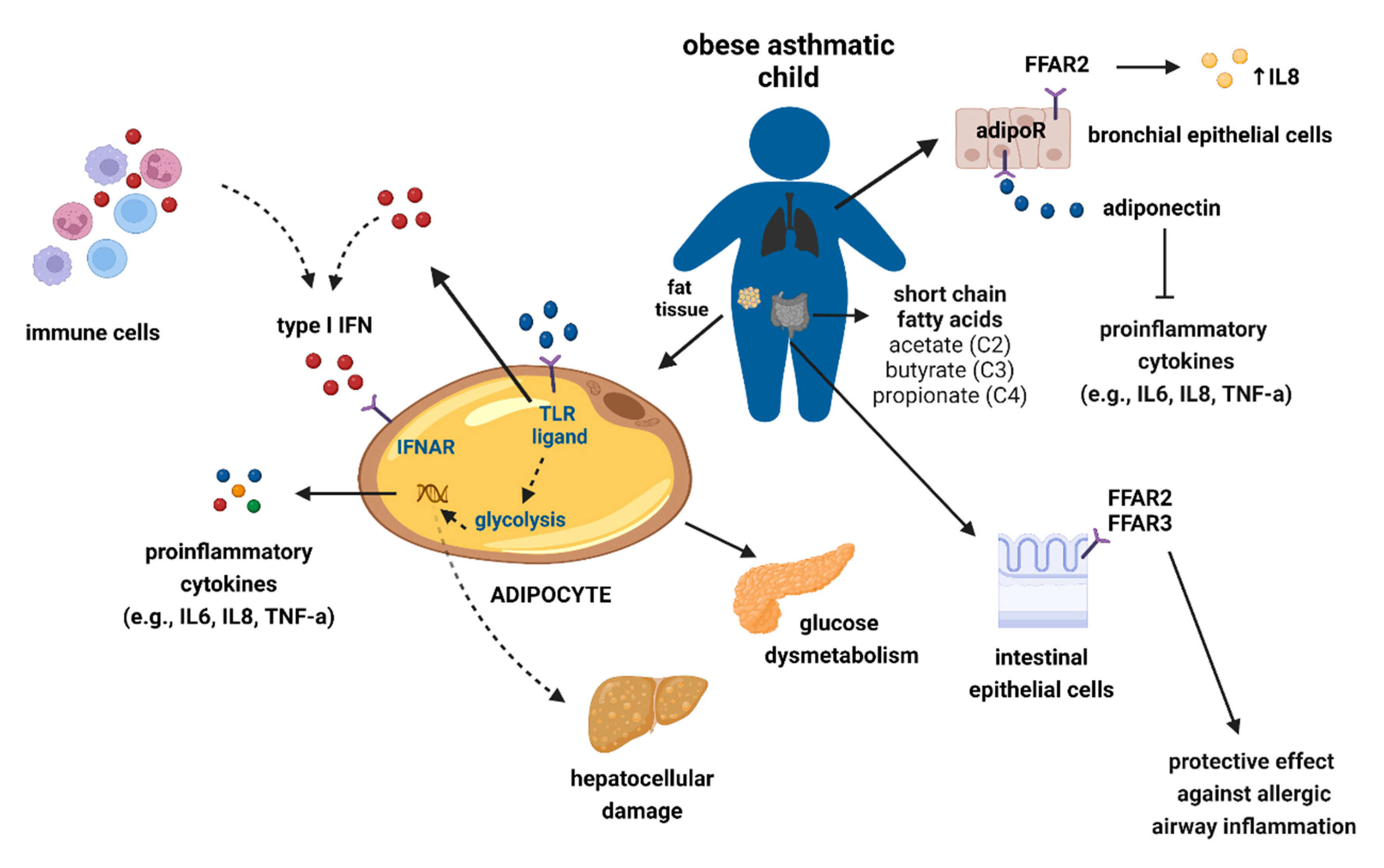 Metabolites 13 00328 g001 Metabolites 13 00328 g001