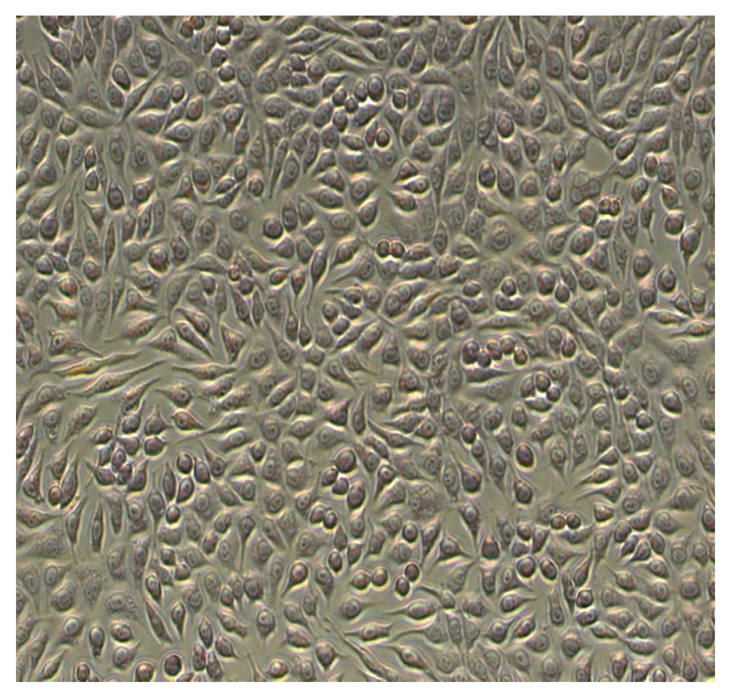 Metabolites 13 00354 g004 Metabolites 13 00354 g004