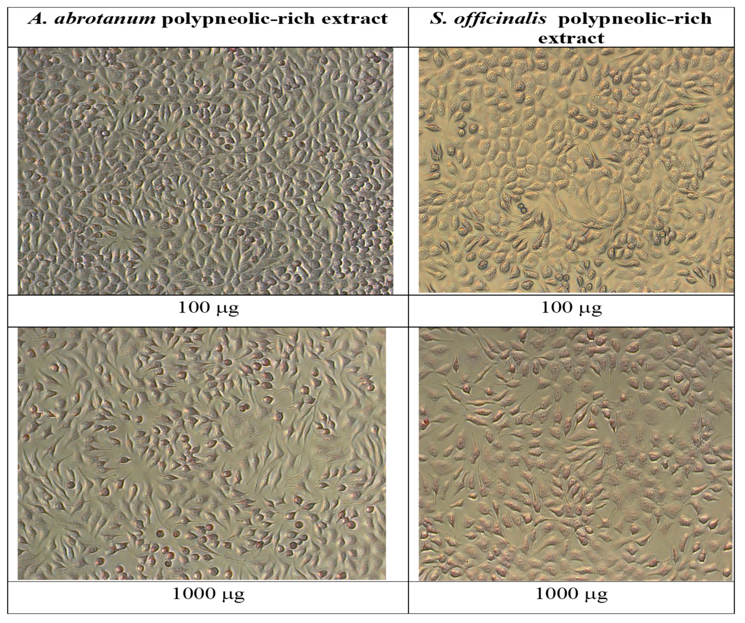 Metabolites 13 00354 g005 Metabolites 13 00354 g005