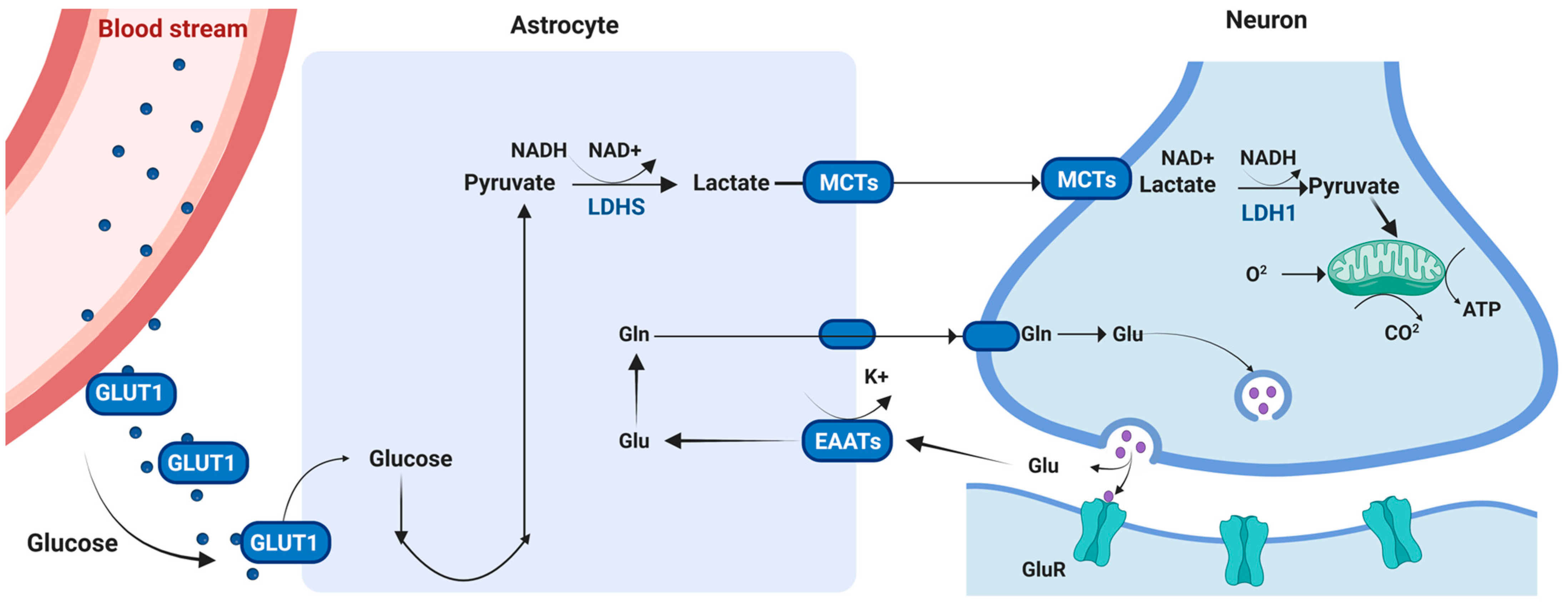 Metabolites 13 00384 g003
