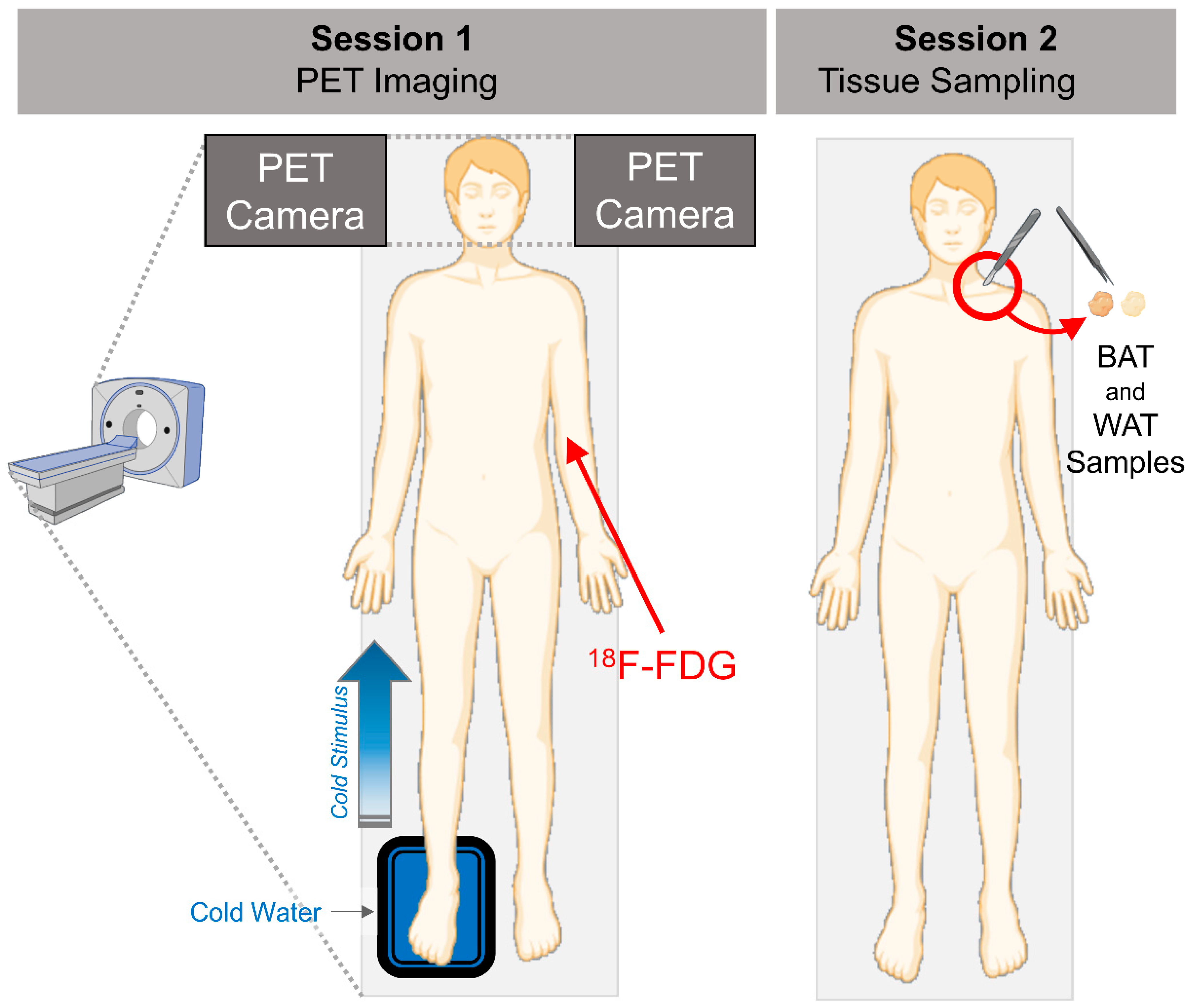 Metabolites 13 00387 g001