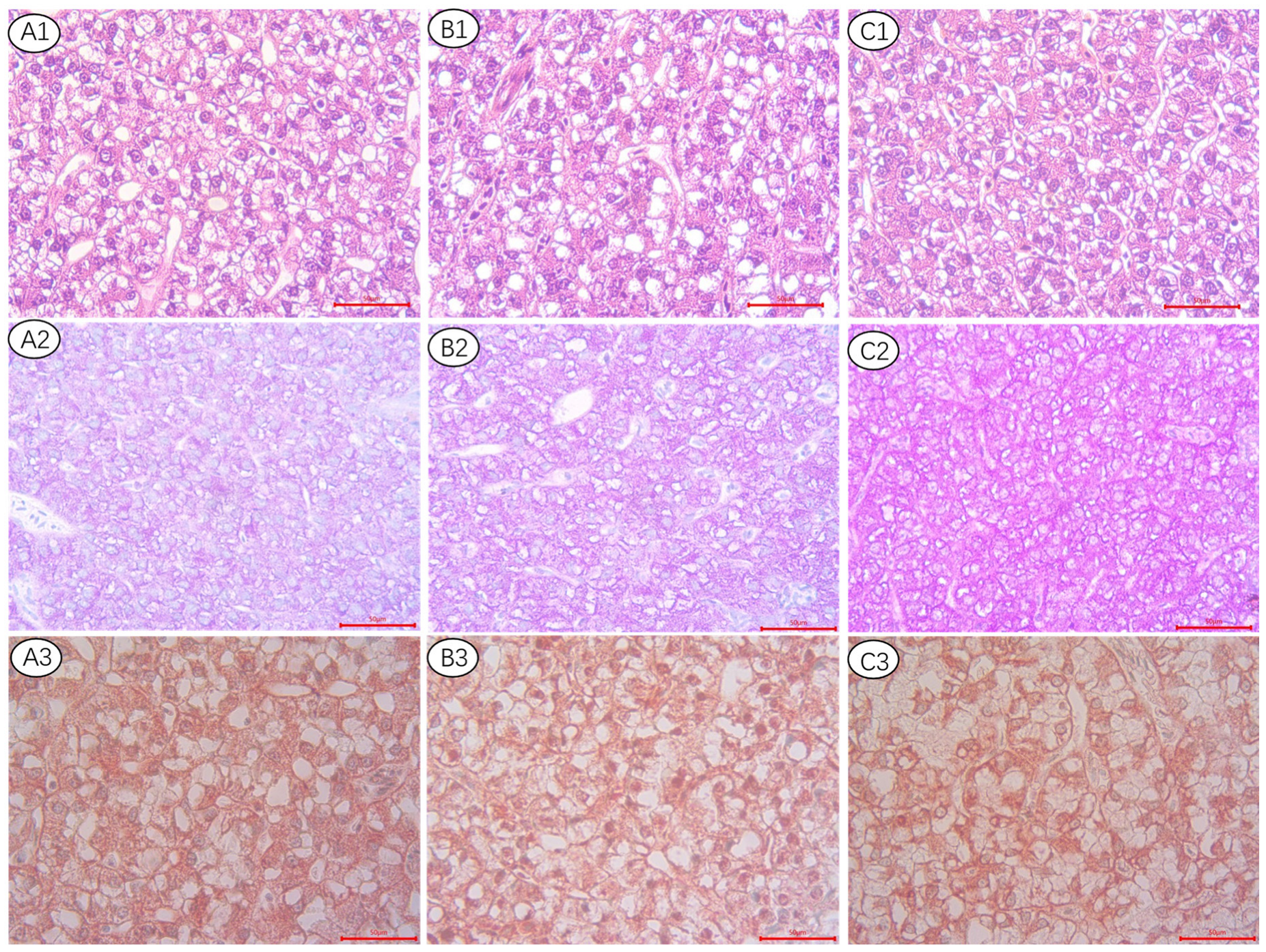 Metabolites 13 00396 g001