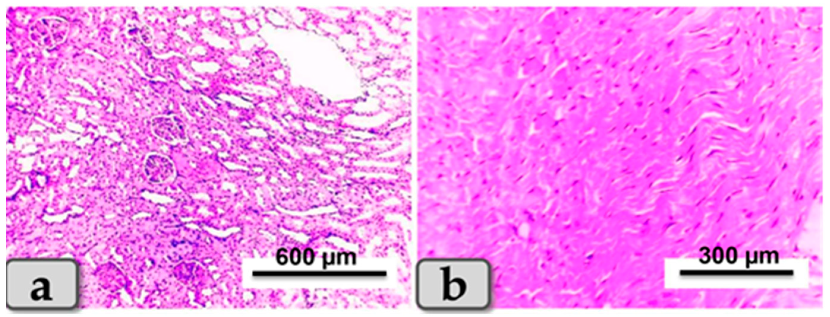 Metabolites 13 00400 g004 Metabolites 13 00400 g004