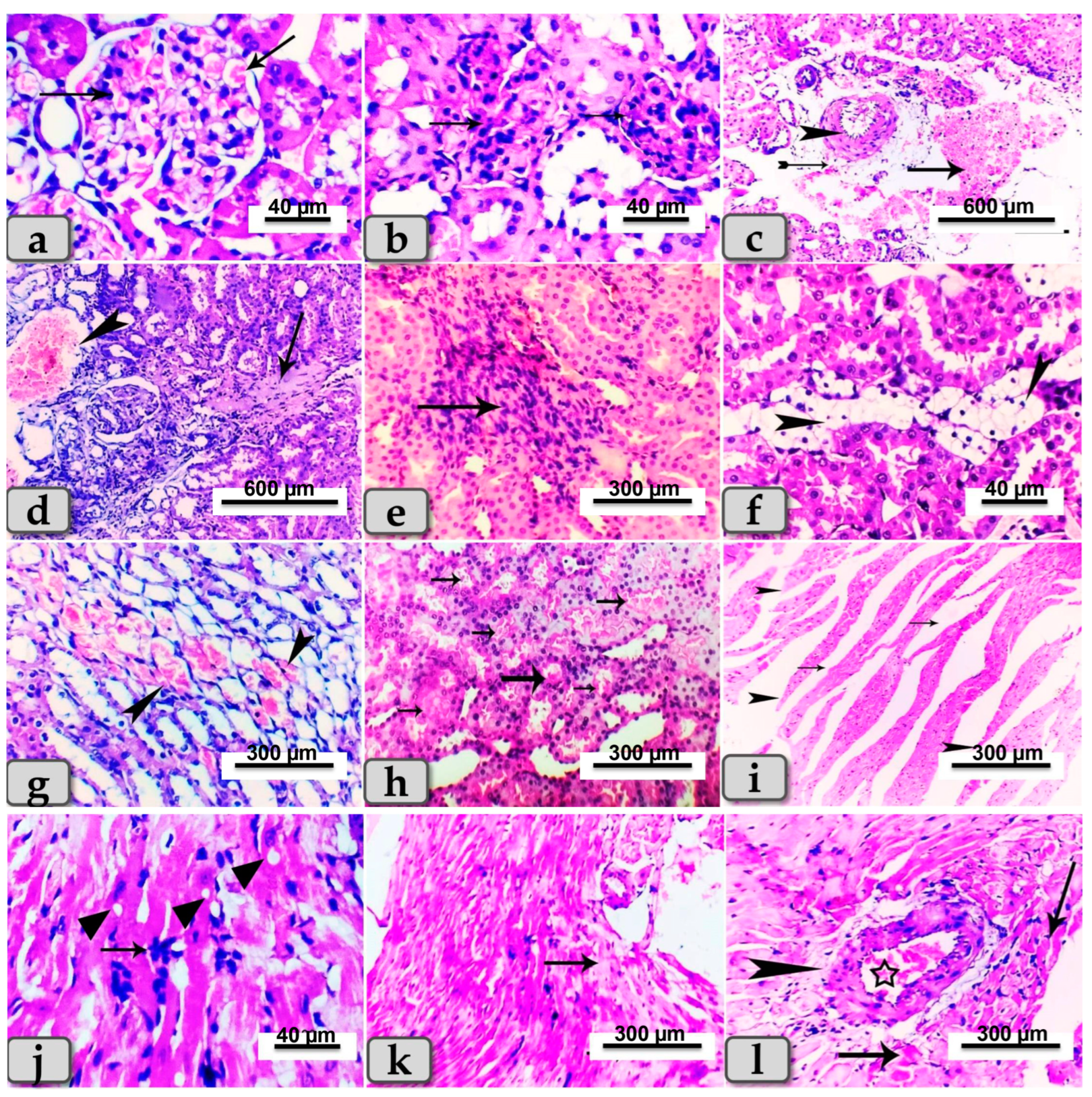 Metabolites 13 00400 g005 Metabolites 13 00400 g005