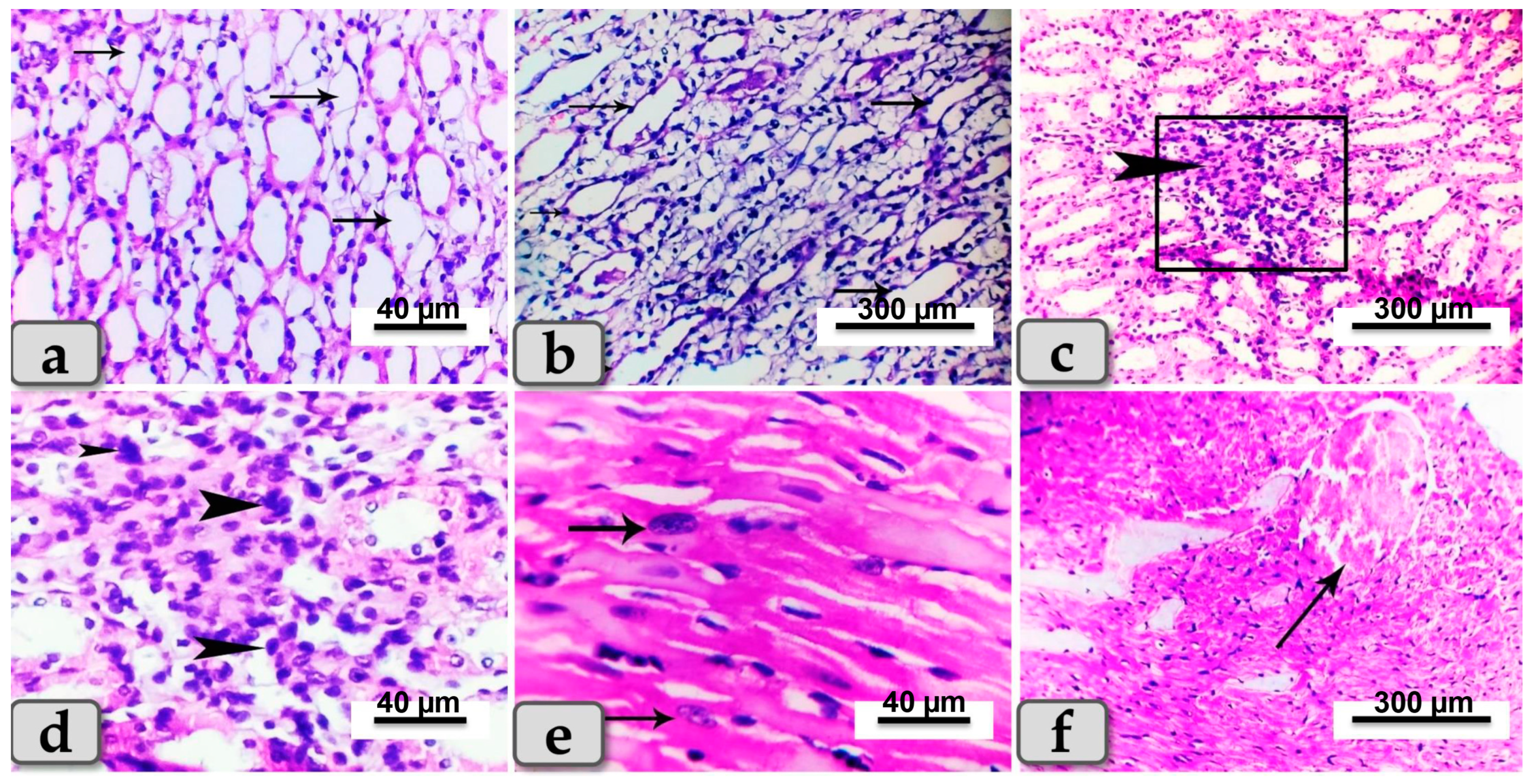 Metabolites 13 00400 g006 Metabolites 13 00400 g006