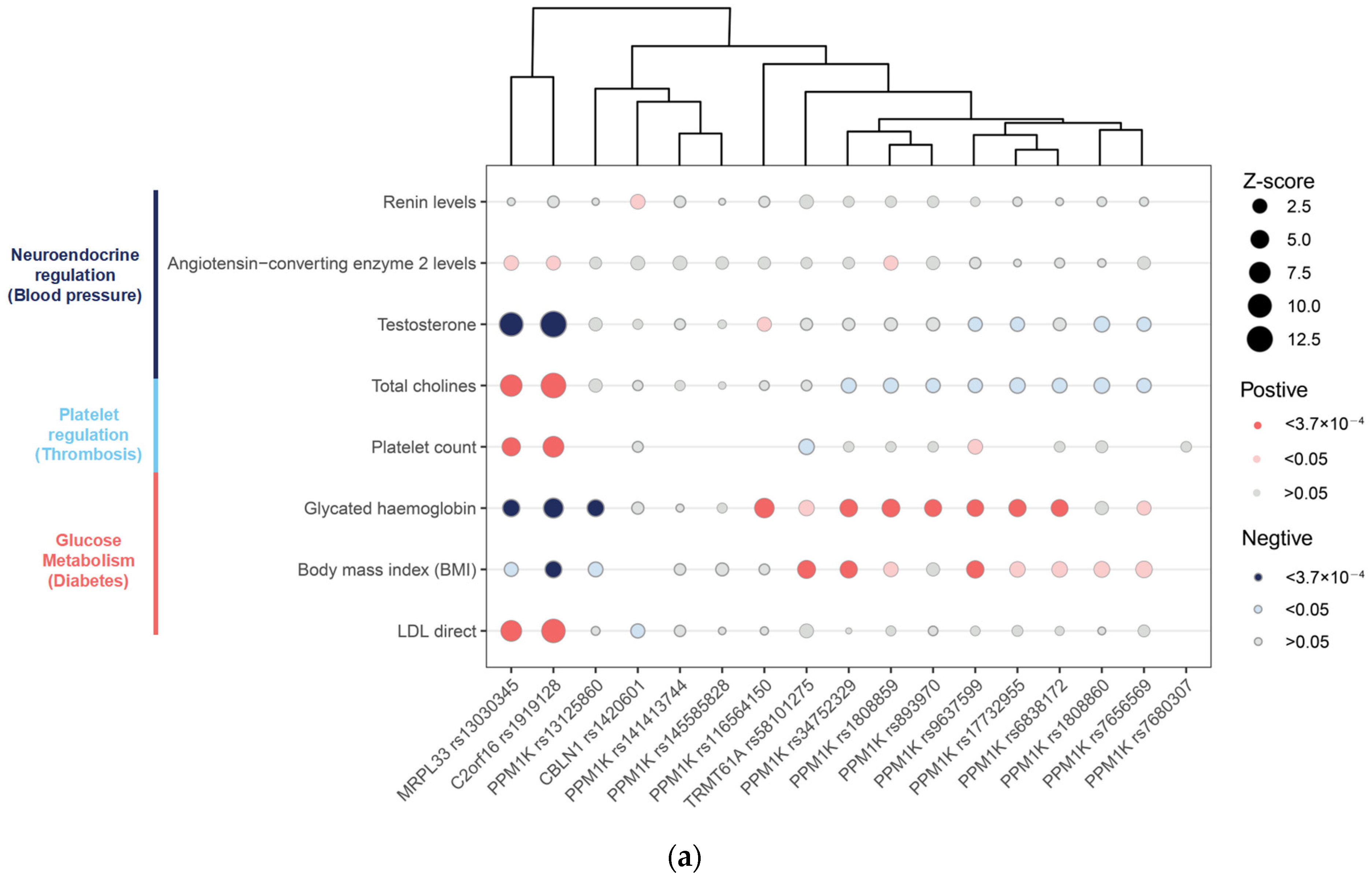 Metabolites 13 00403 g003a Metabolites 13 00403 g003a