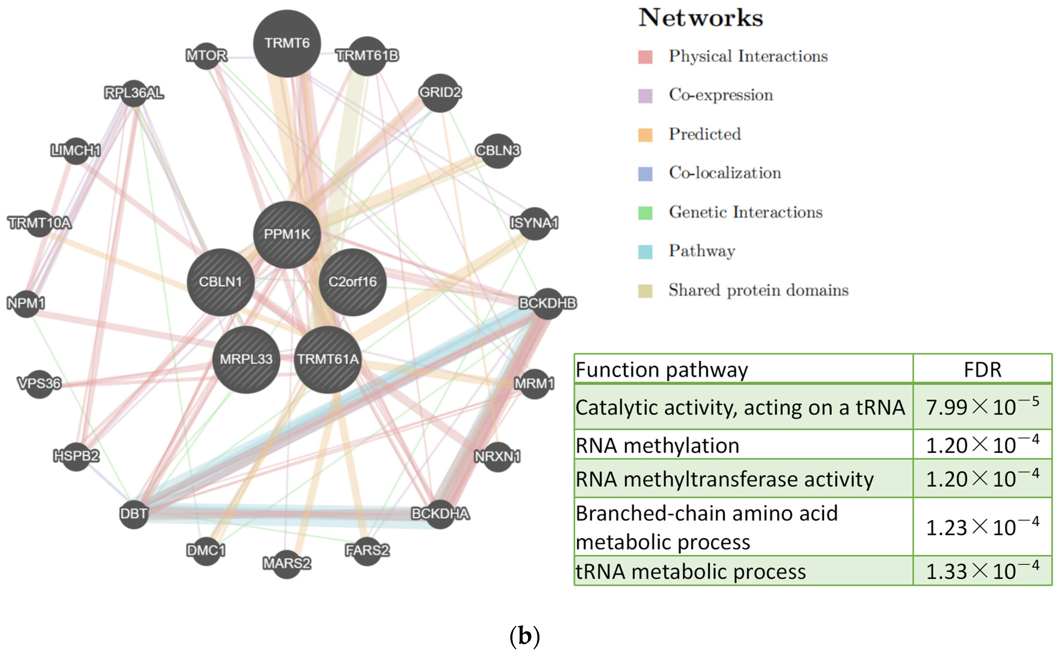 Metabolites 13 00403 g003b Metabolites 13 00403 g003b