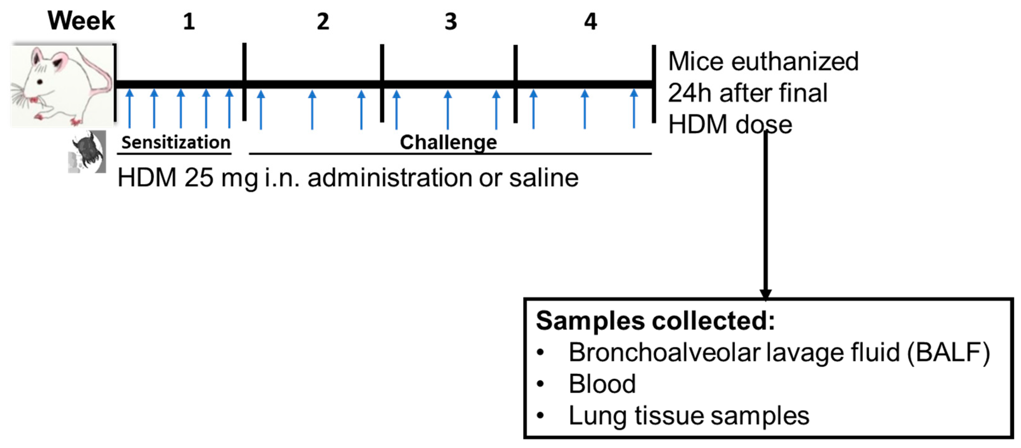 https://www.mdpi.com/metabolites/metabolites-13-00406/article_deploy/html/images/metabolites-13-00406-g001.png