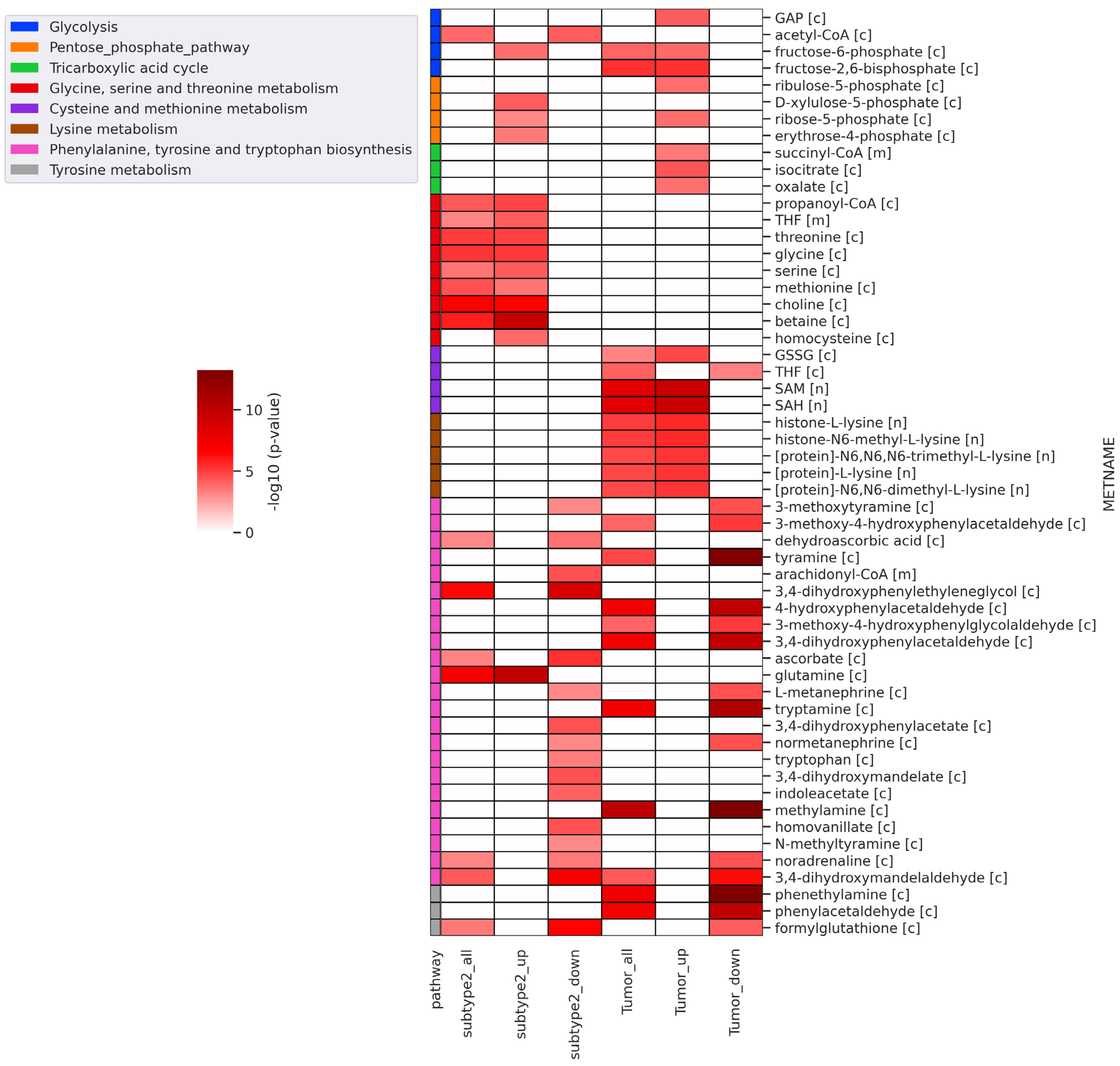 Metabolites 13 00409 g005 Metabolites 13 00409 g005