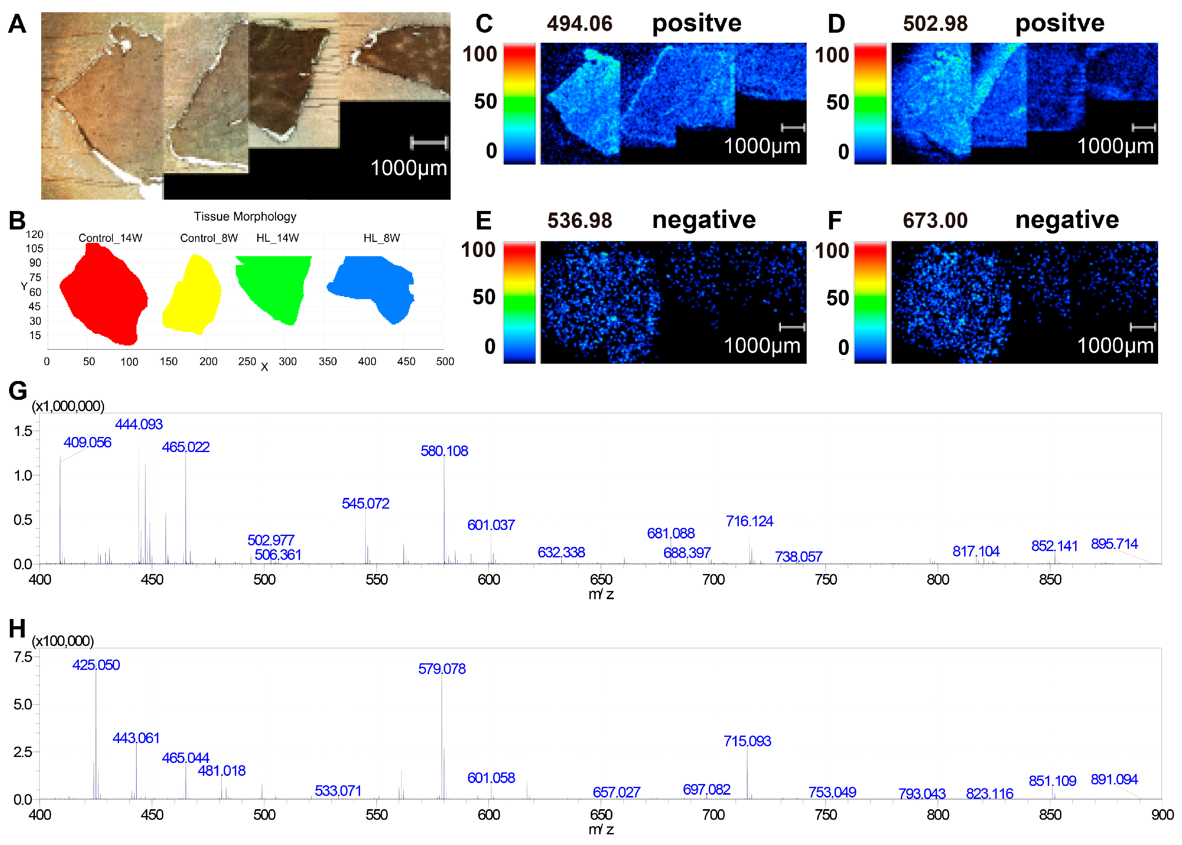 Metabolites 13 00411 g003