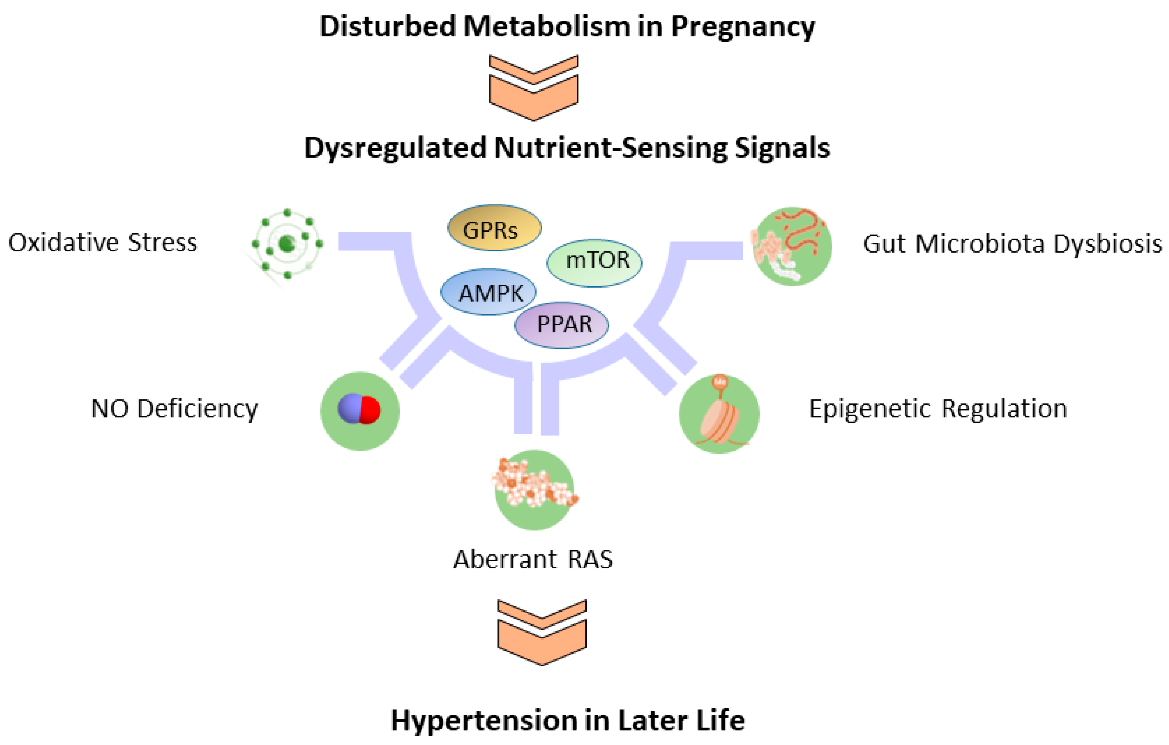 Metabolites 13 00418 g002 Metabolites 13 00418 g002