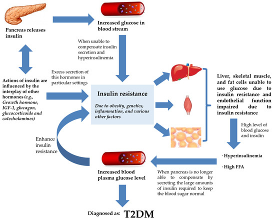 Metabolites | Free Full-Text | Genetic Markers of Insulin Resistance ...