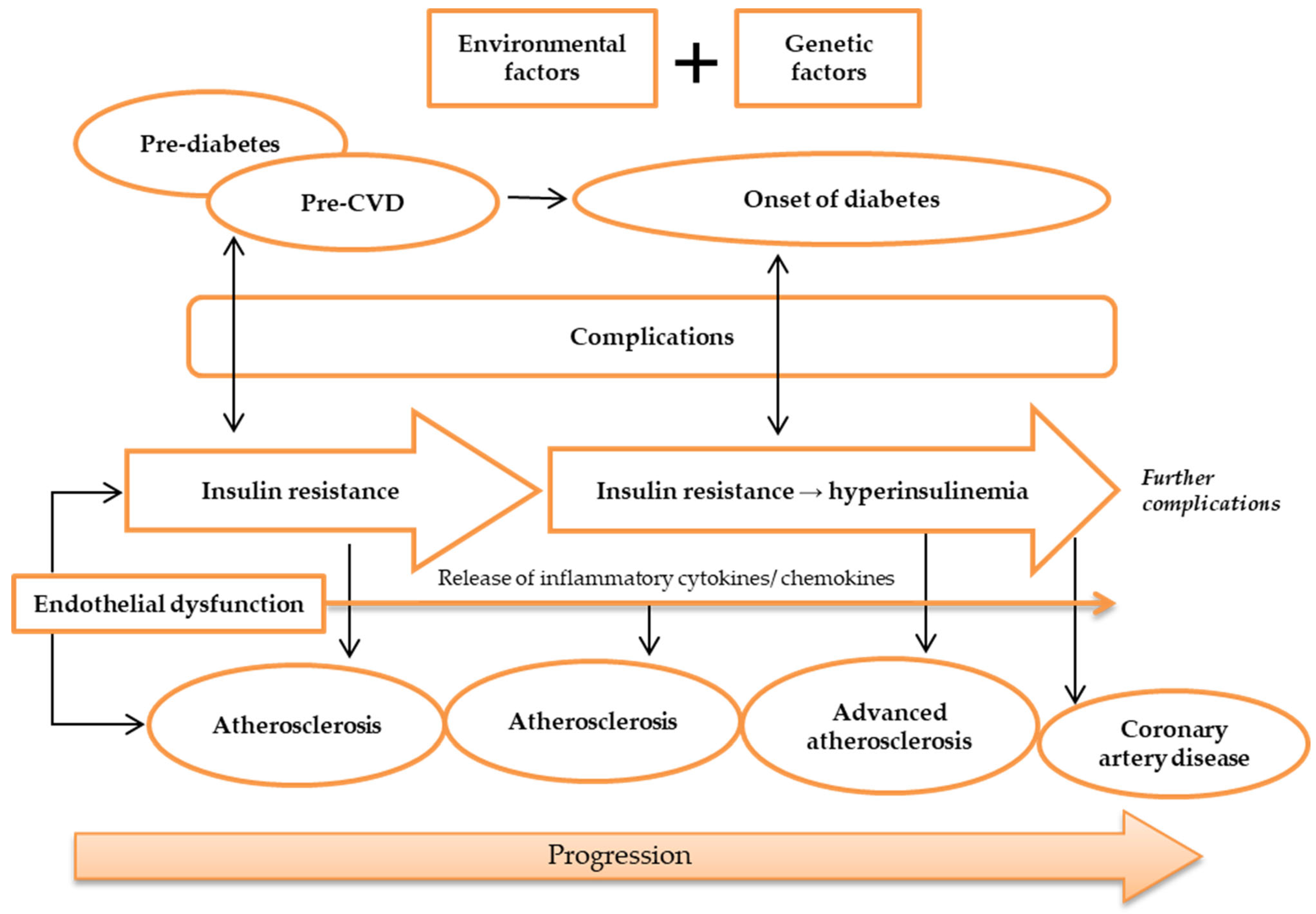 Genetic Markers of Insulin Resistance and Atherosclerosis in Type ...