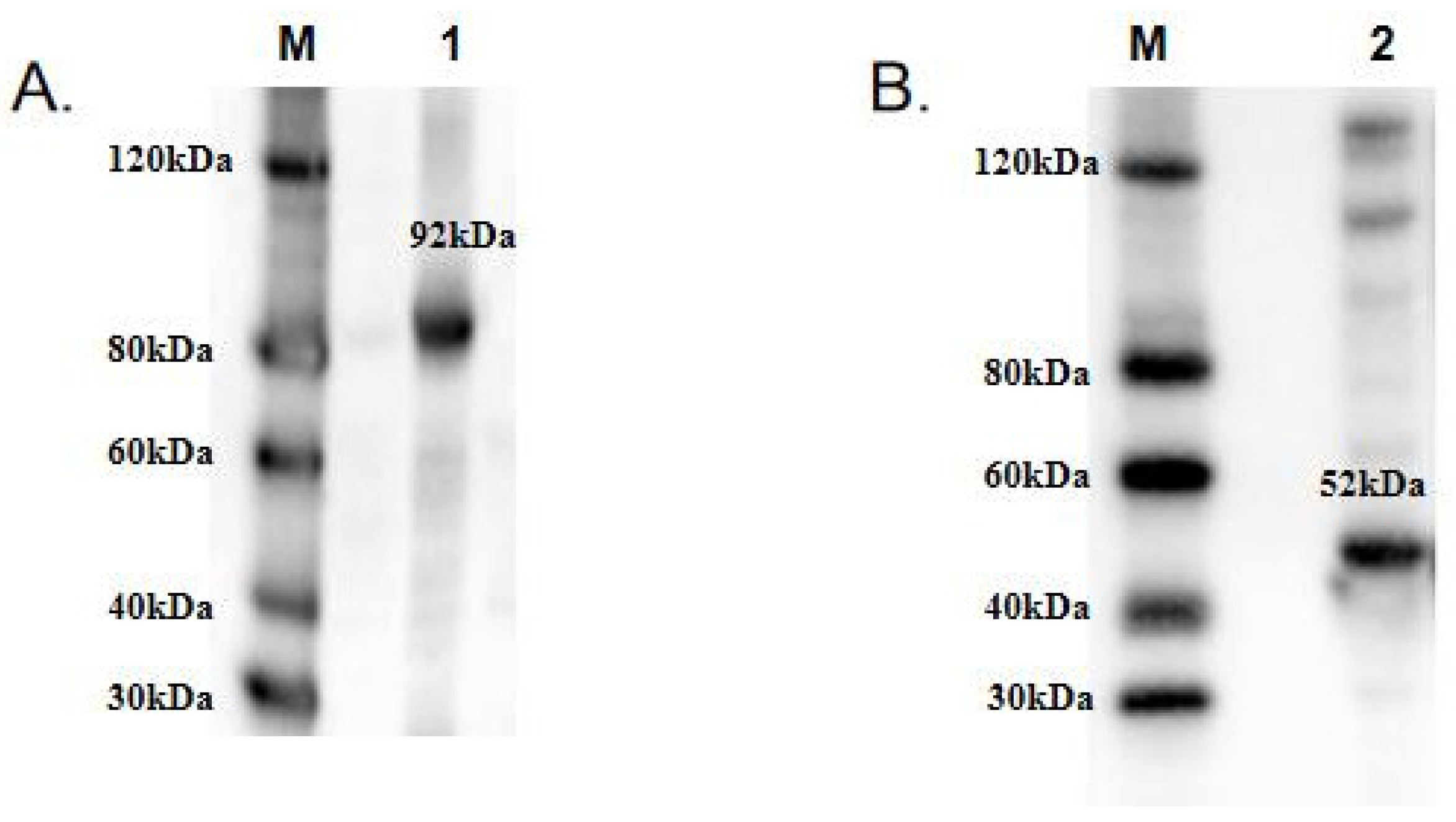 Metabolites 13 00429 g004