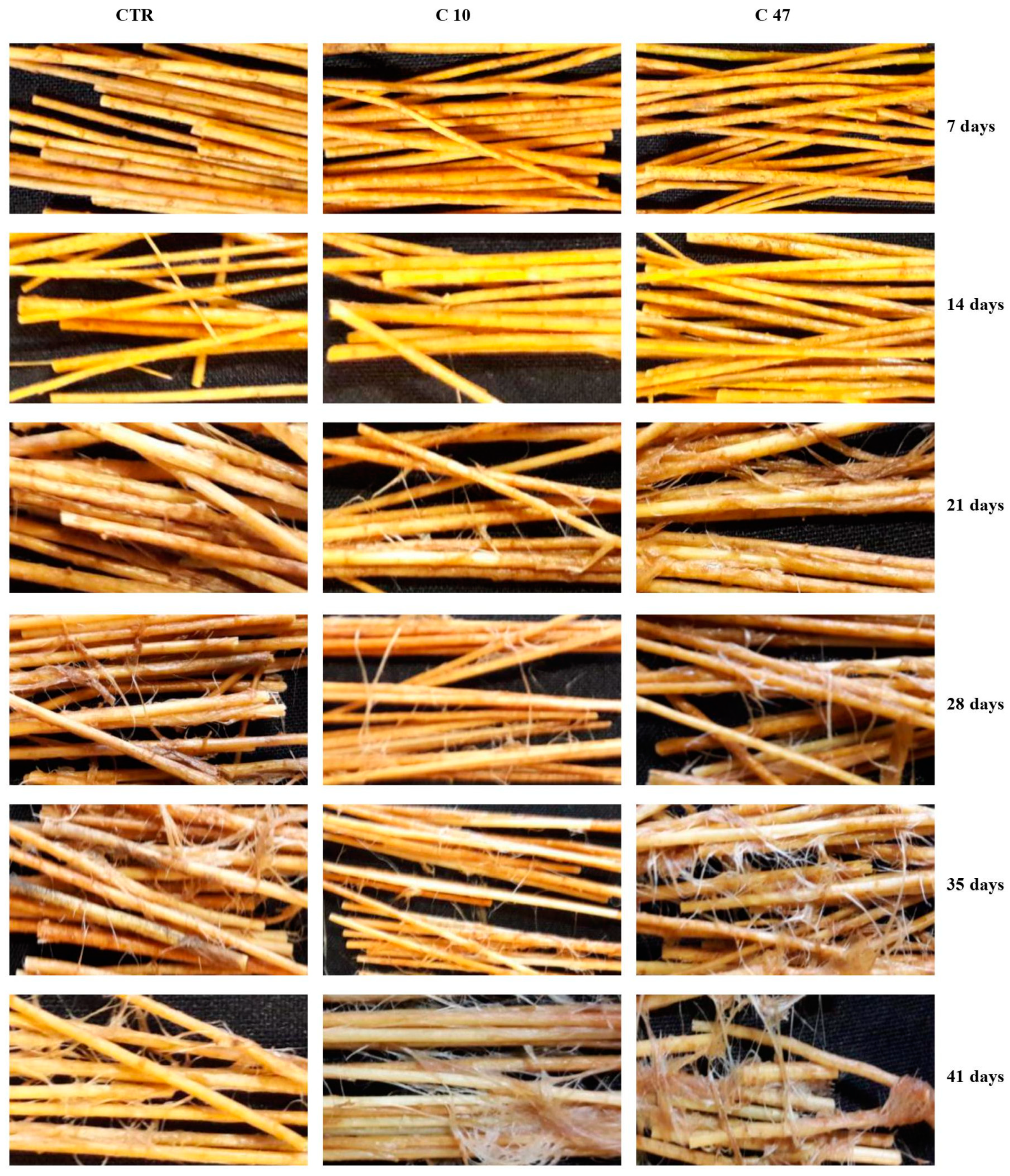 Metabolites 13 00437 g007