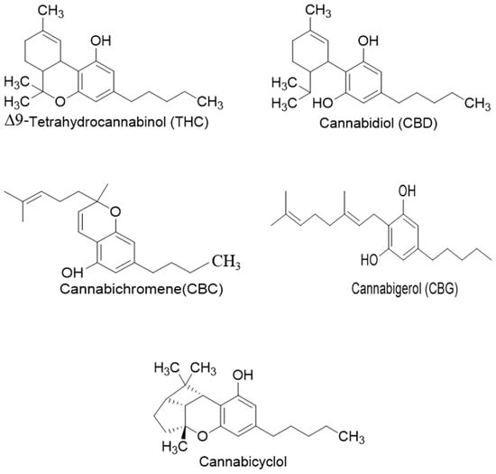 Biosynthesis of Phytocannabinoids and Structural Insights: A Review
