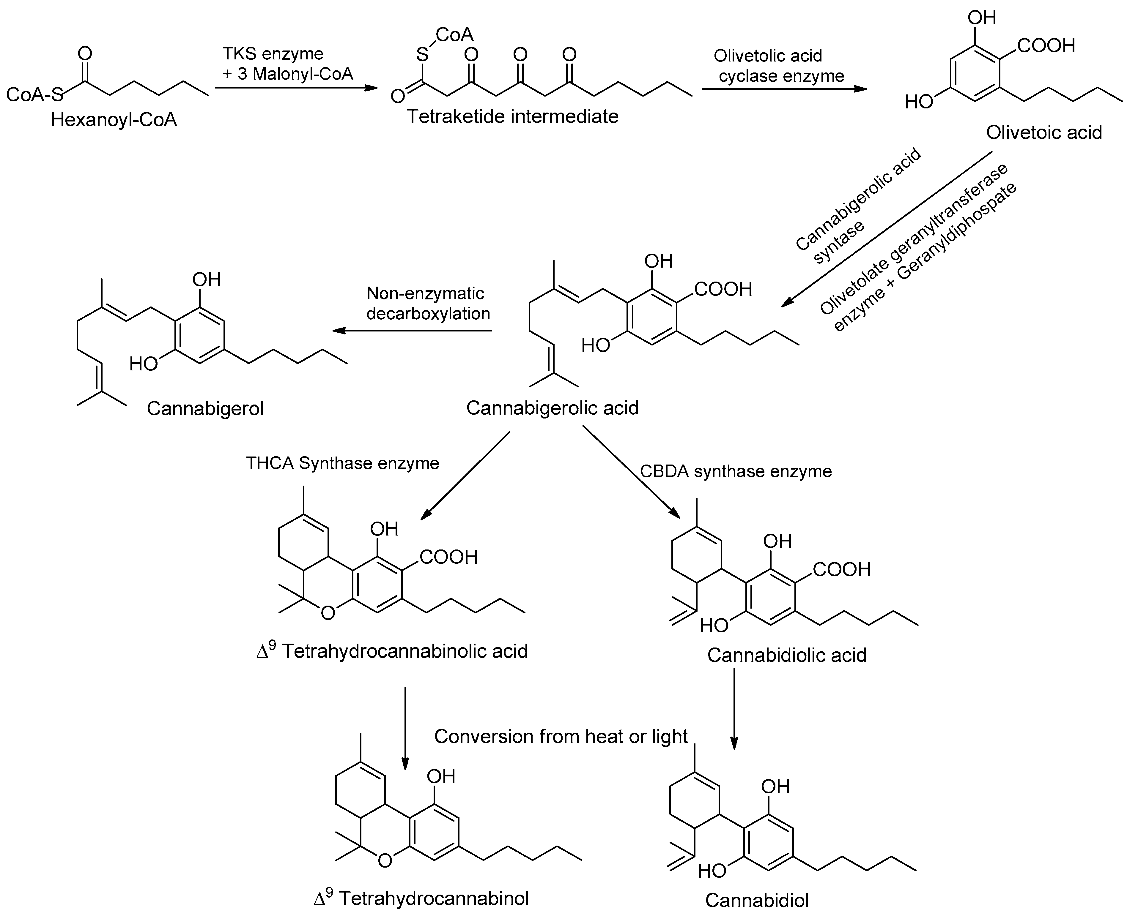 Metabolites 13 00442 g002 Metabolites 13 00442 g002