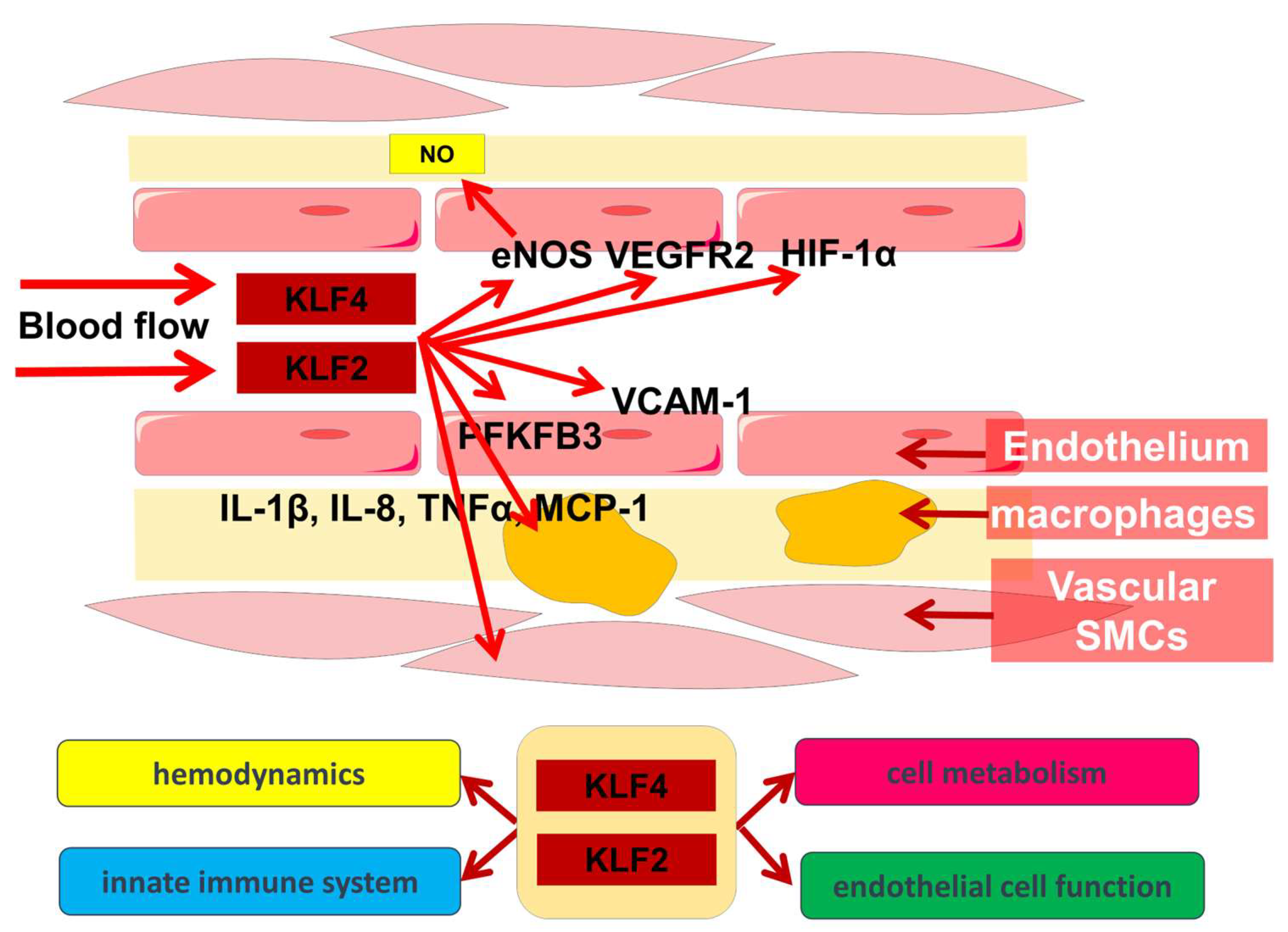 Metabolites 13 00448 g001 Metabolites 13 00448 g001