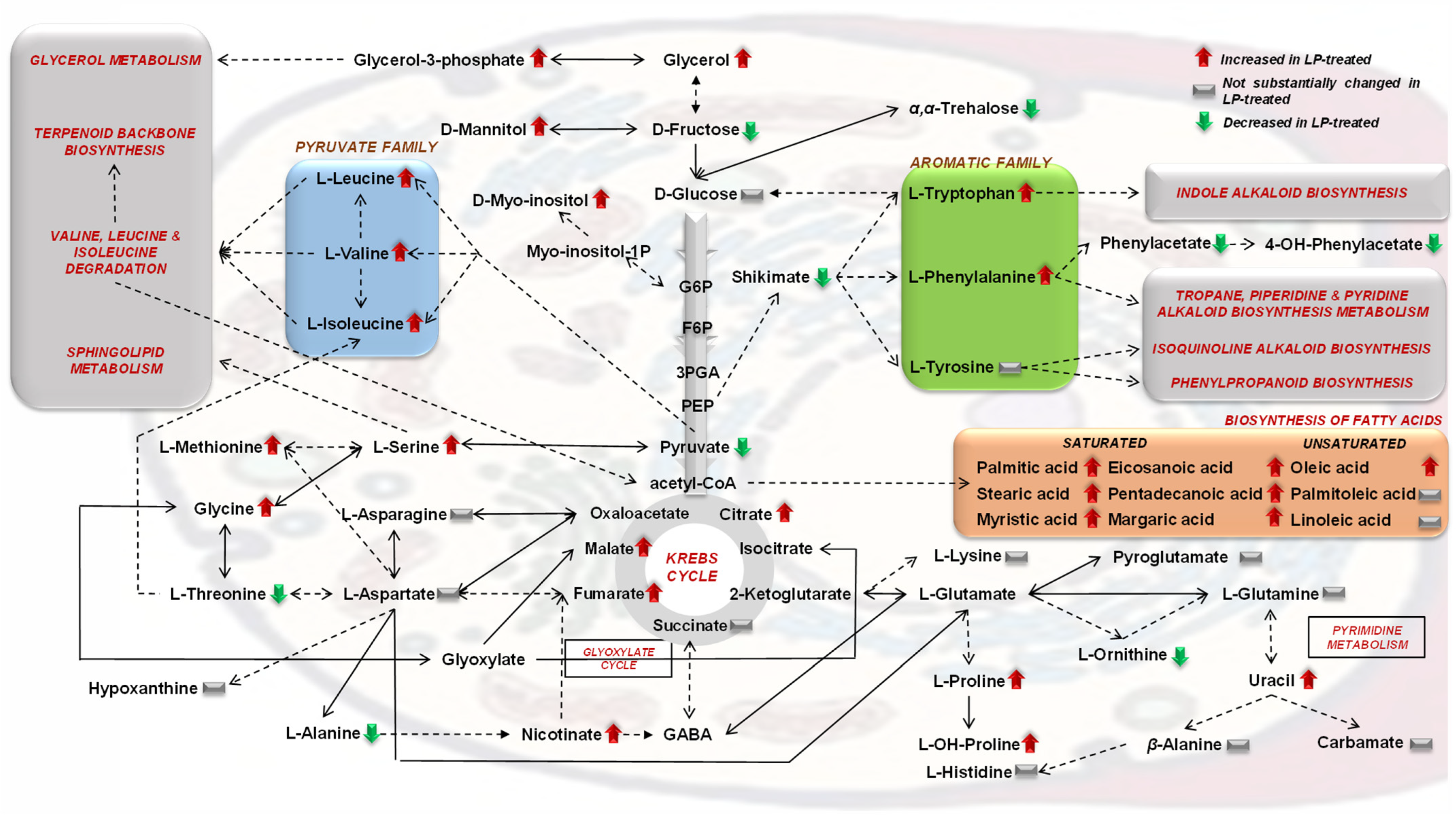 Metabolites 13 00462 g008 Metabolites 13 00462 g008