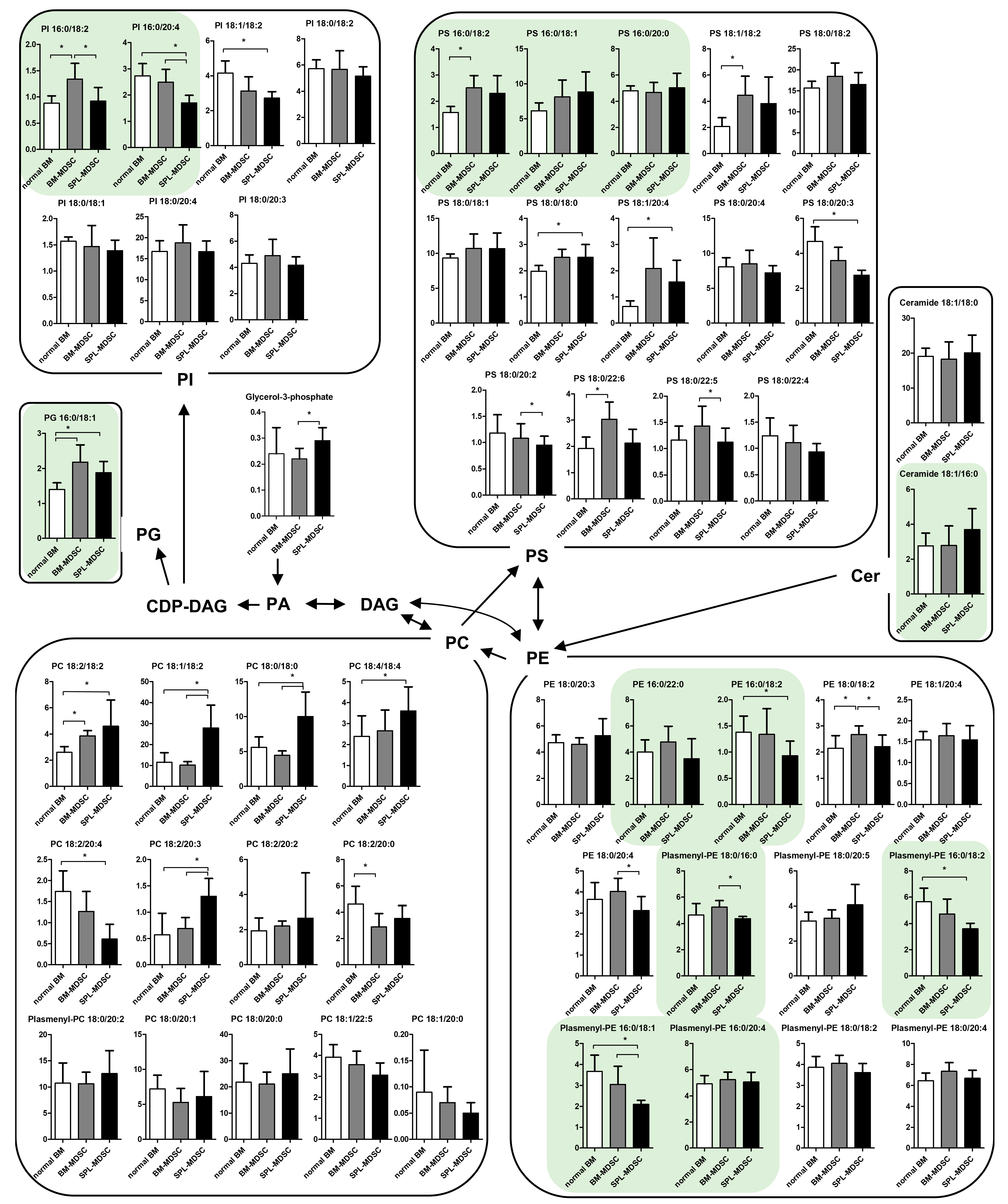 Metabolites 13 00477 g002