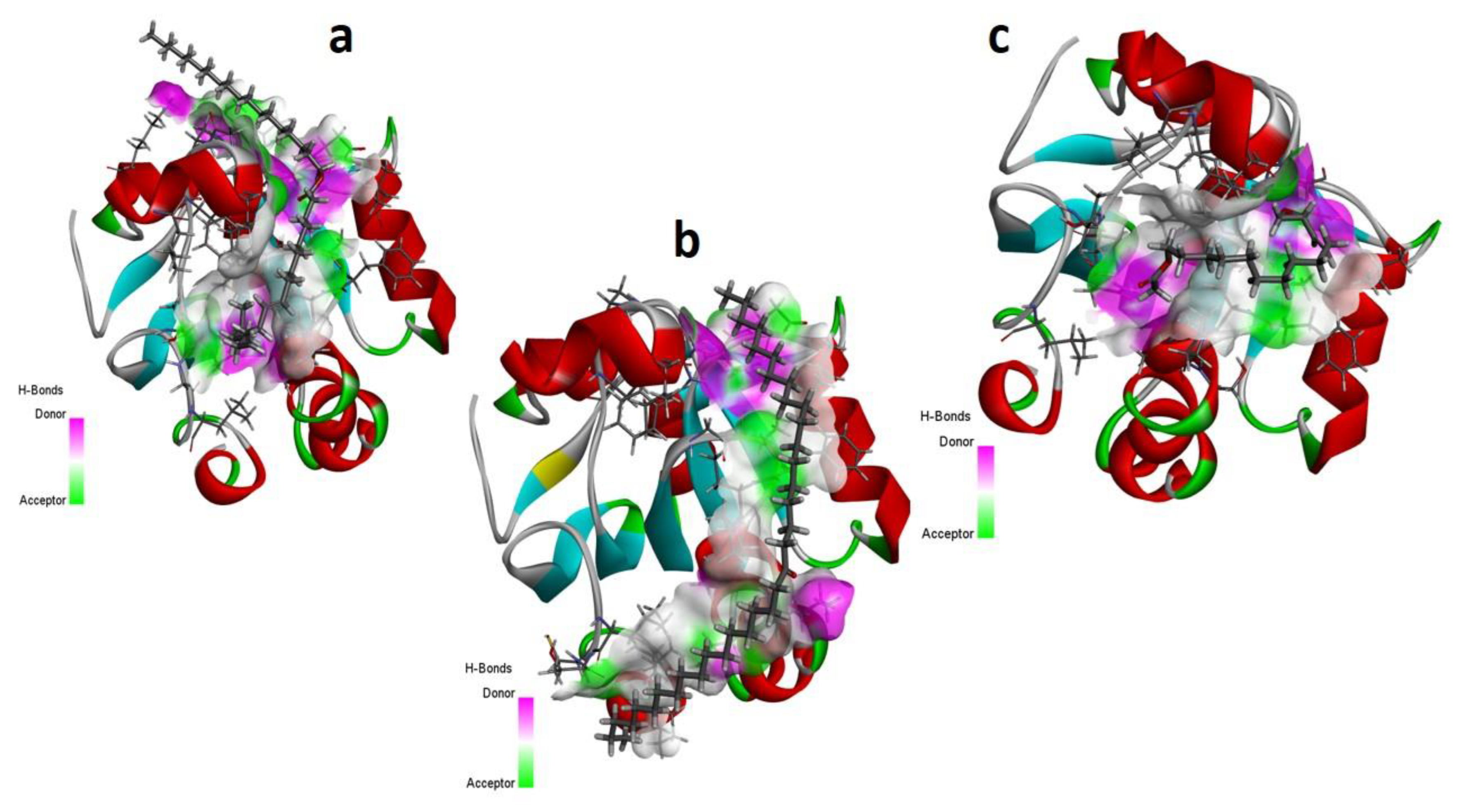 Metabolites 13 00502 g008