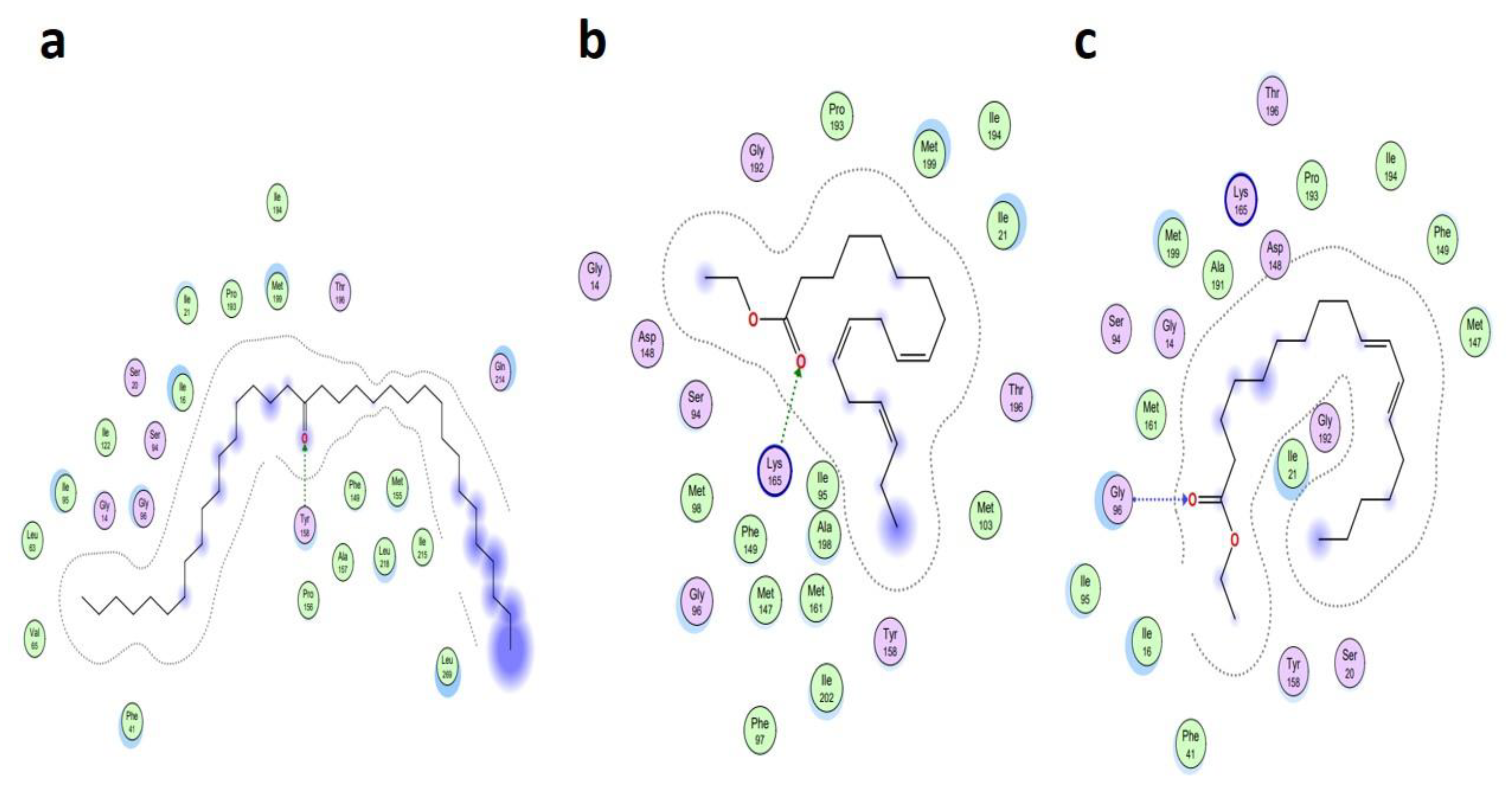 Metabolites 13 00502 g009