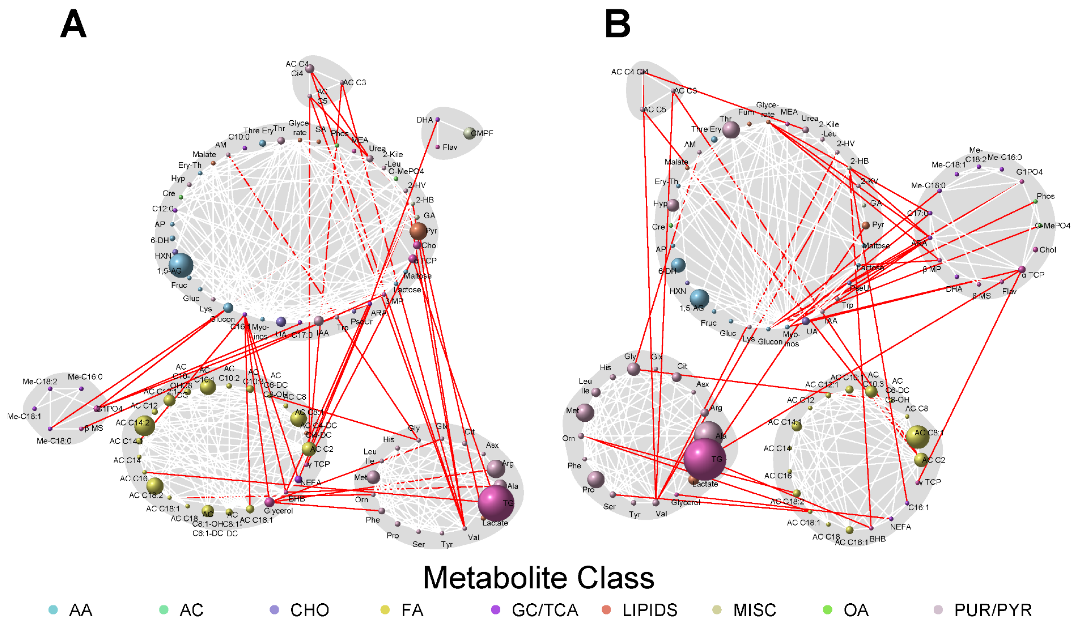 Metabolites 13 00505 g001