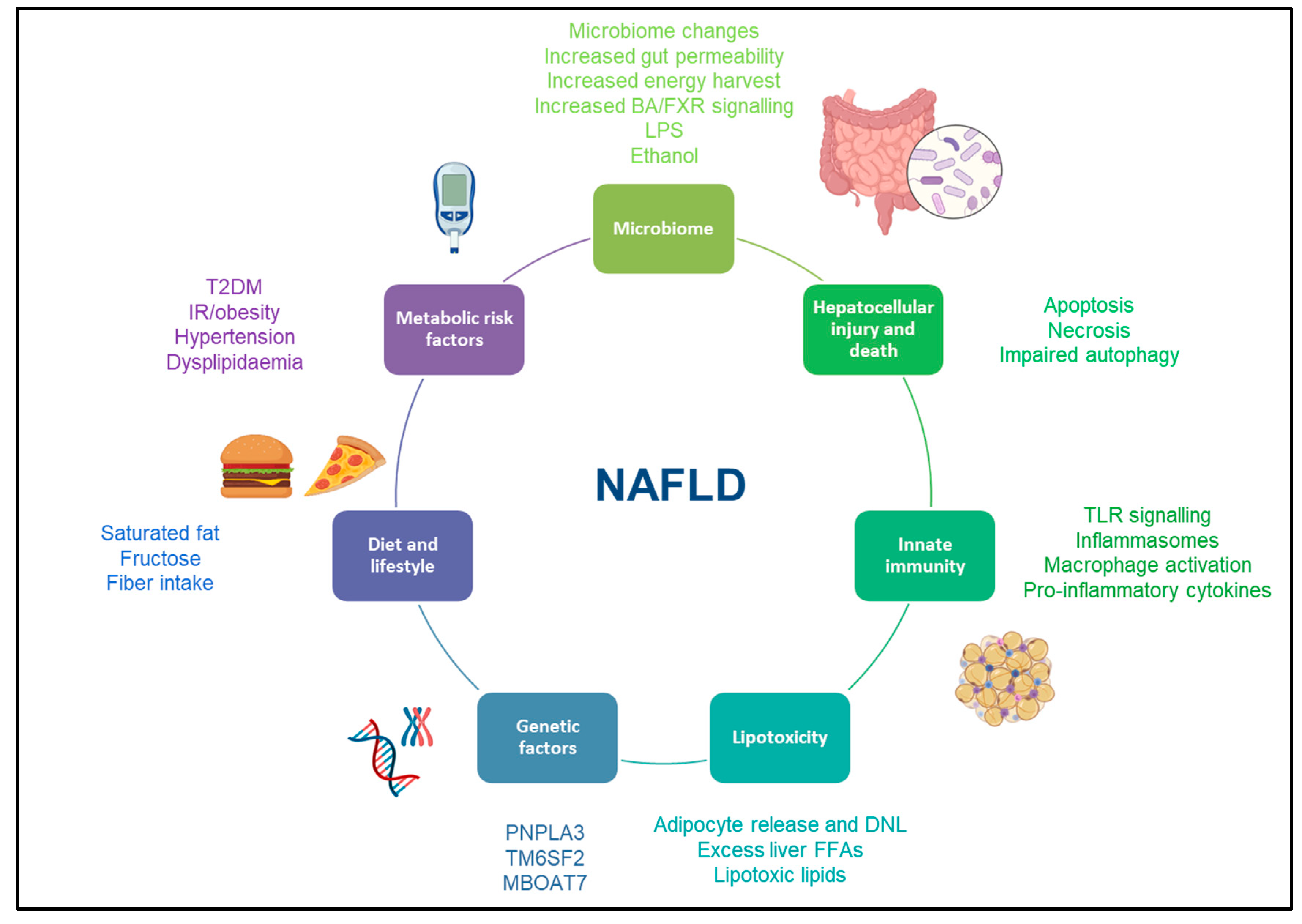 https://www.mdpi.com/metabolites/metabolites-13-00536/article_deploy/html/images/metabolites-13-00536-g001.png