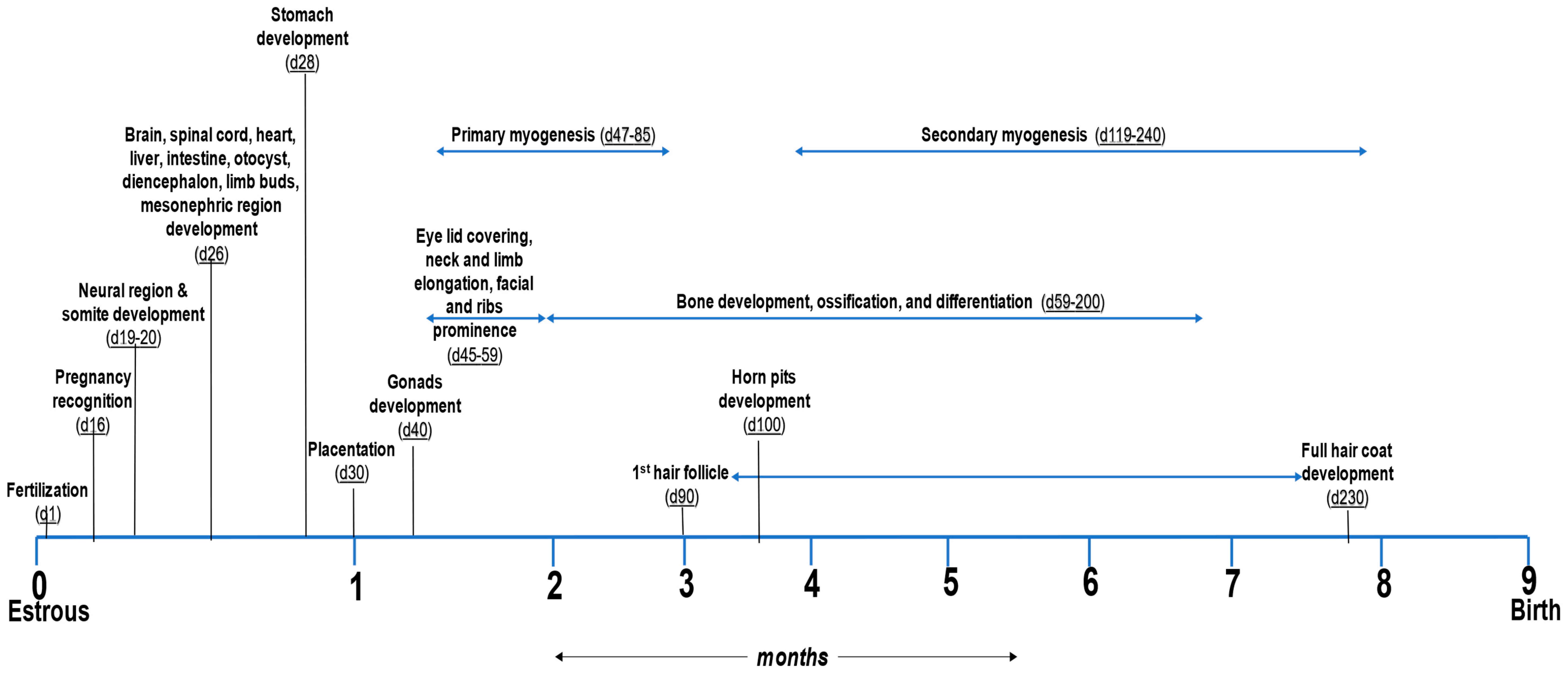 Metabolites 13 00593 g001 Metabolites 13 00593 g001