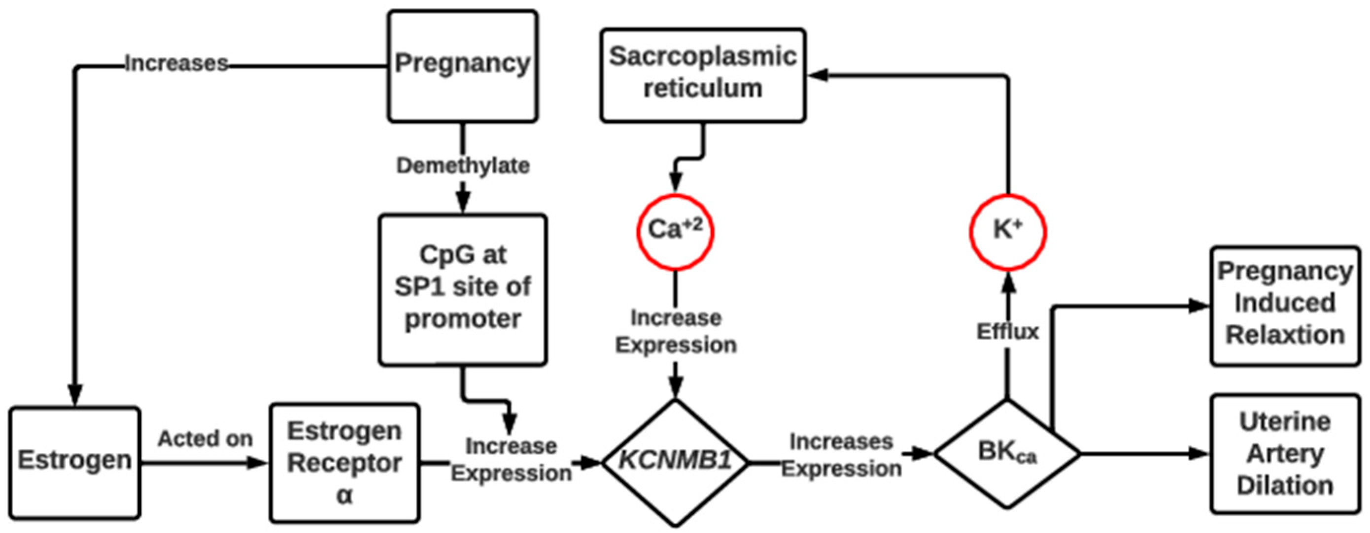 Metabolites 13 00593 g002 Metabolites 13 00593 g002