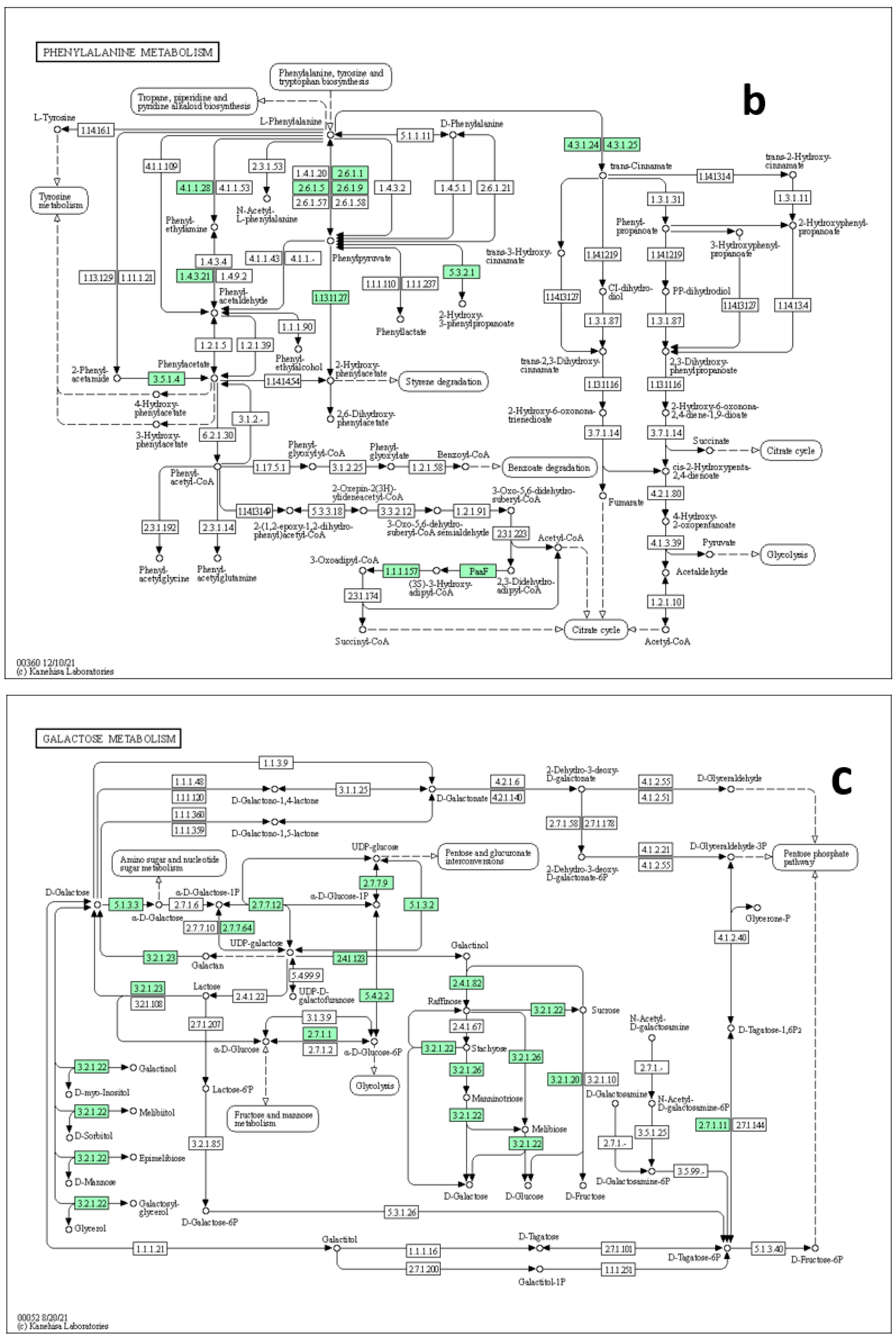 Metabolites 13 00610 g009b