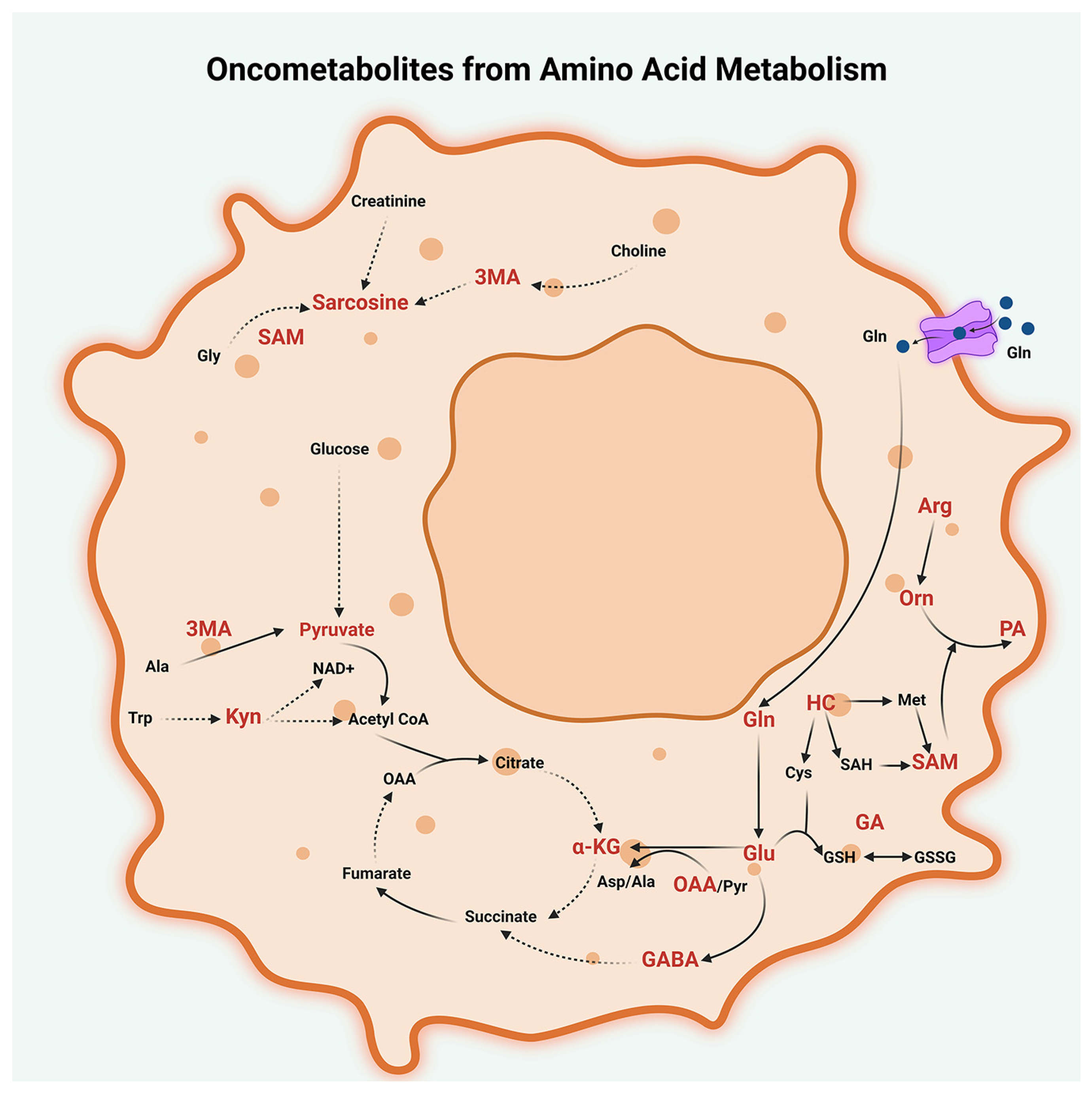 Metabolites 13 00618 g004