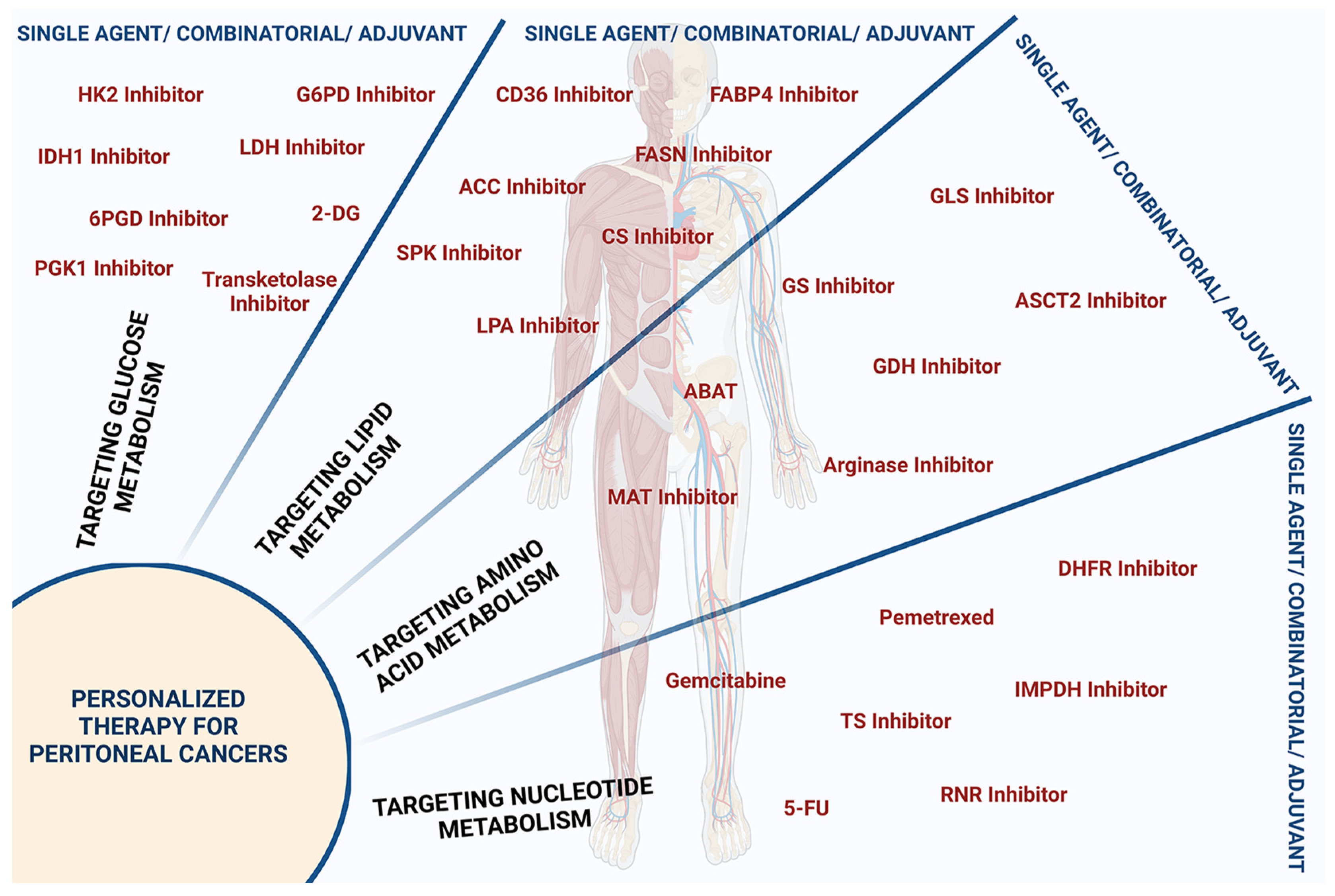 Metabolites 13 00618 g006